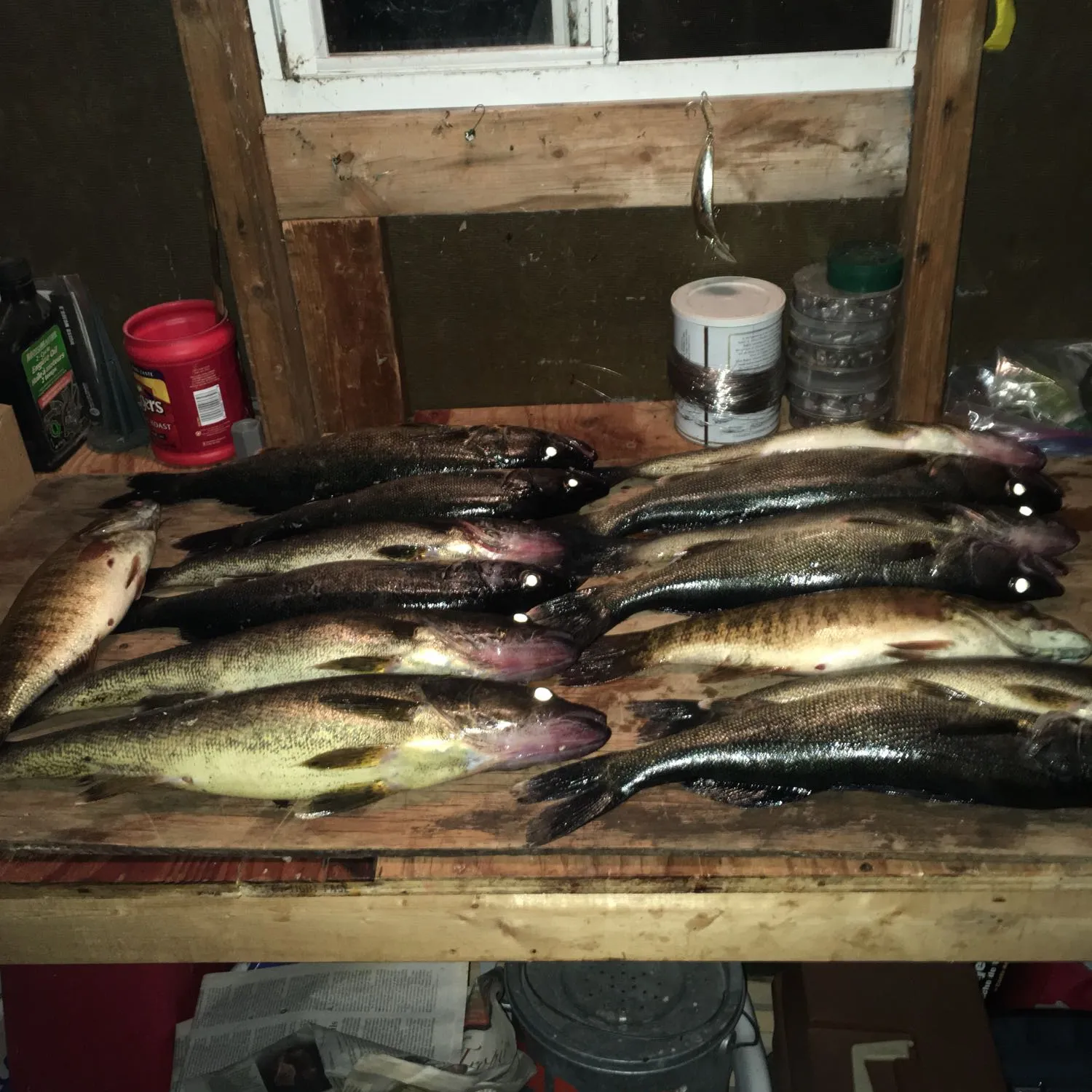 recently logged catches