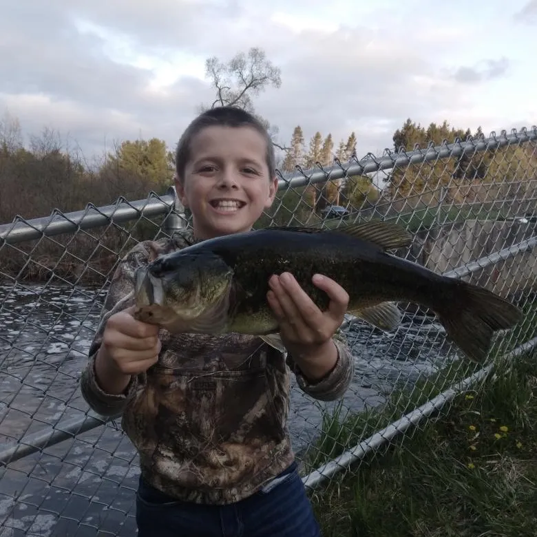 ᐅ Martiny Lake fishing reports🎣• Big Rapids, MI (United States) fishing