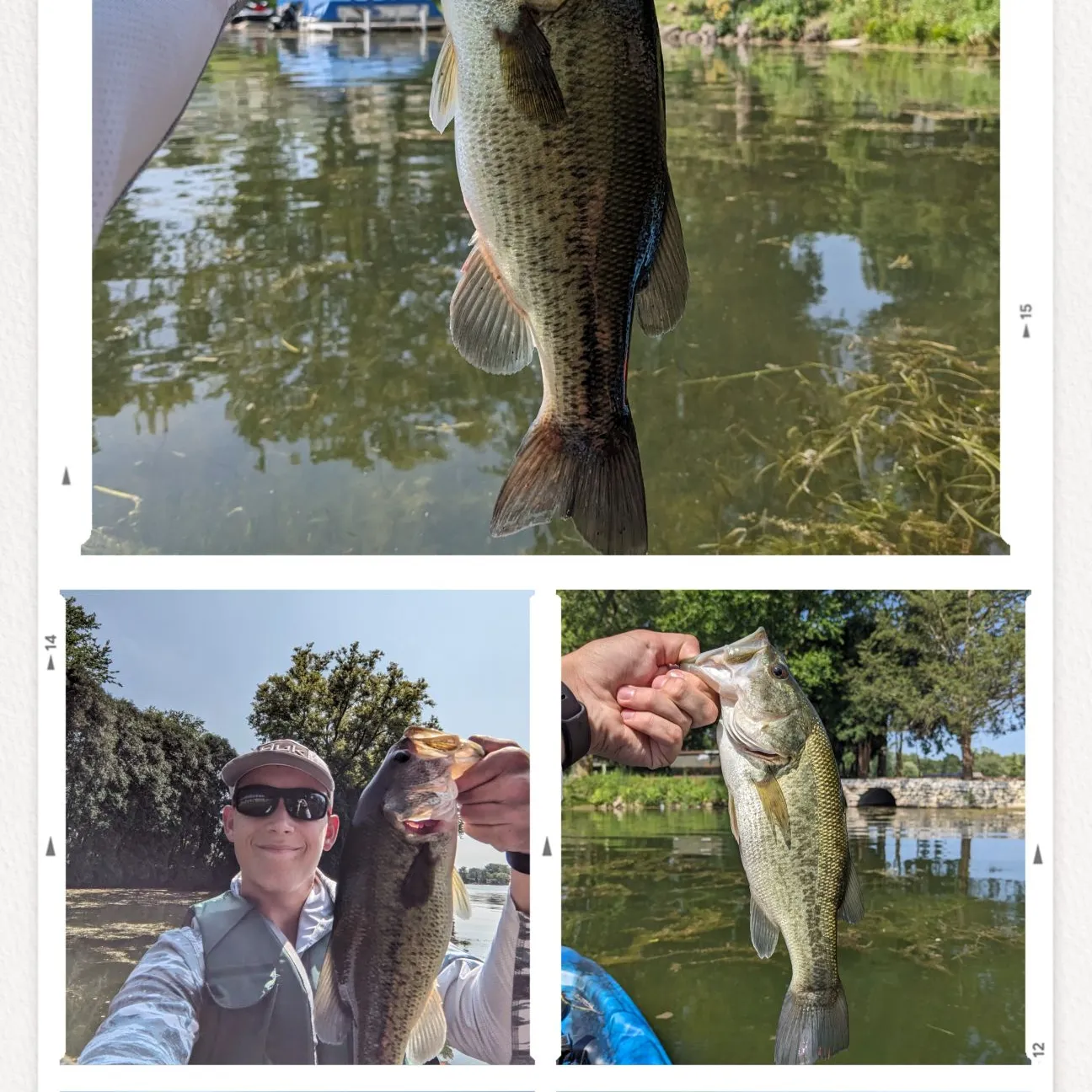 recently logged catches