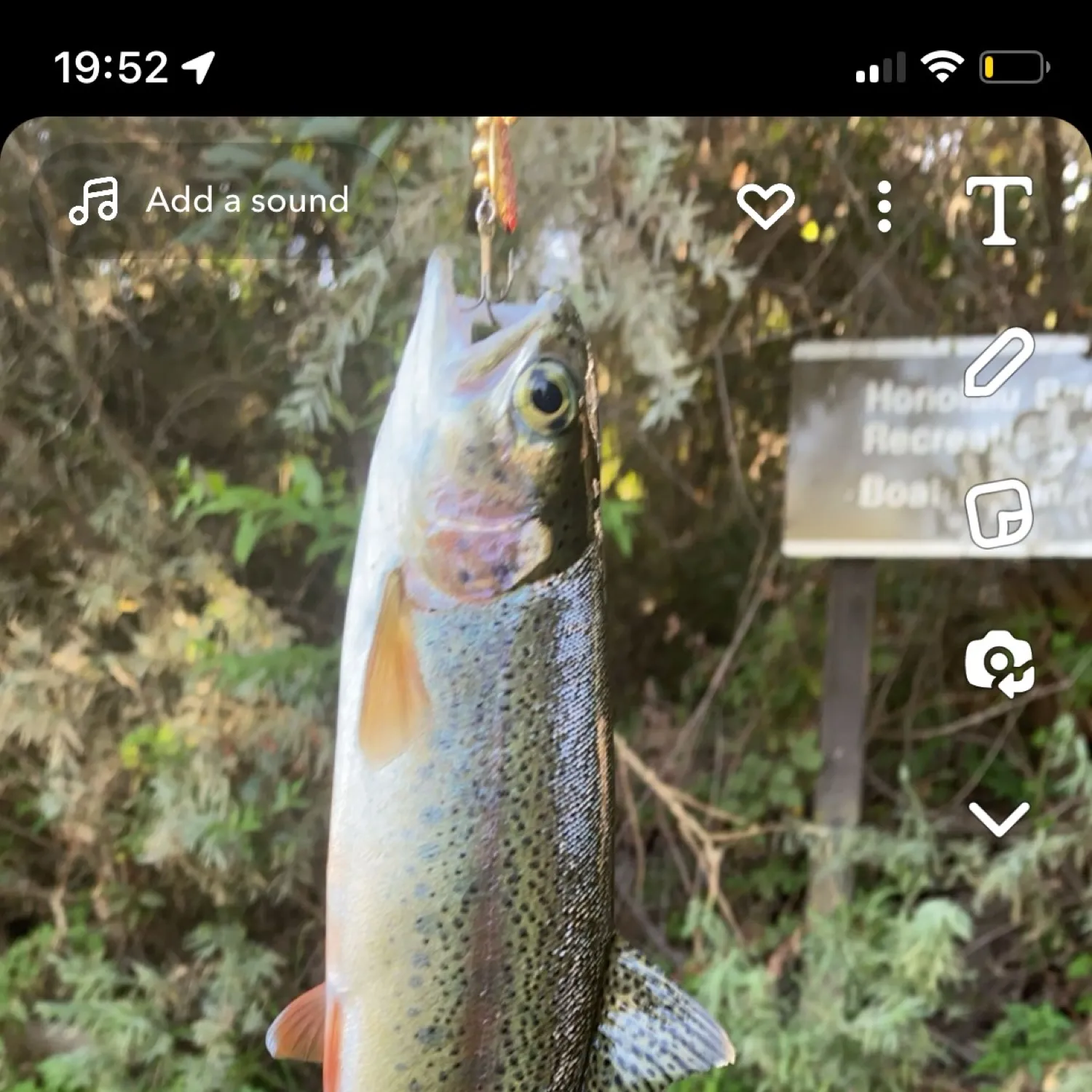 recently logged catches