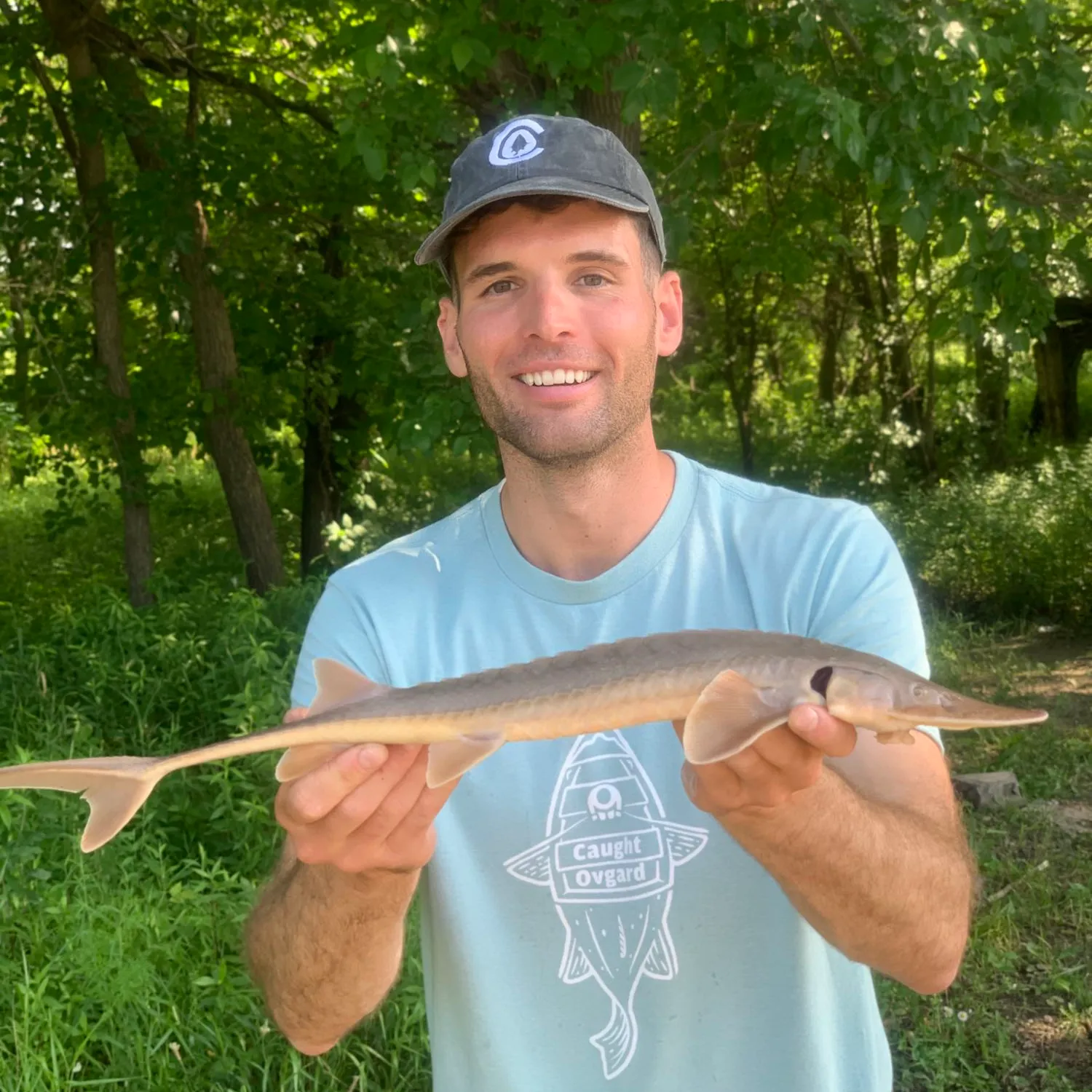 The most popular recent Shovelnose sturgeon catch on Fishbrain