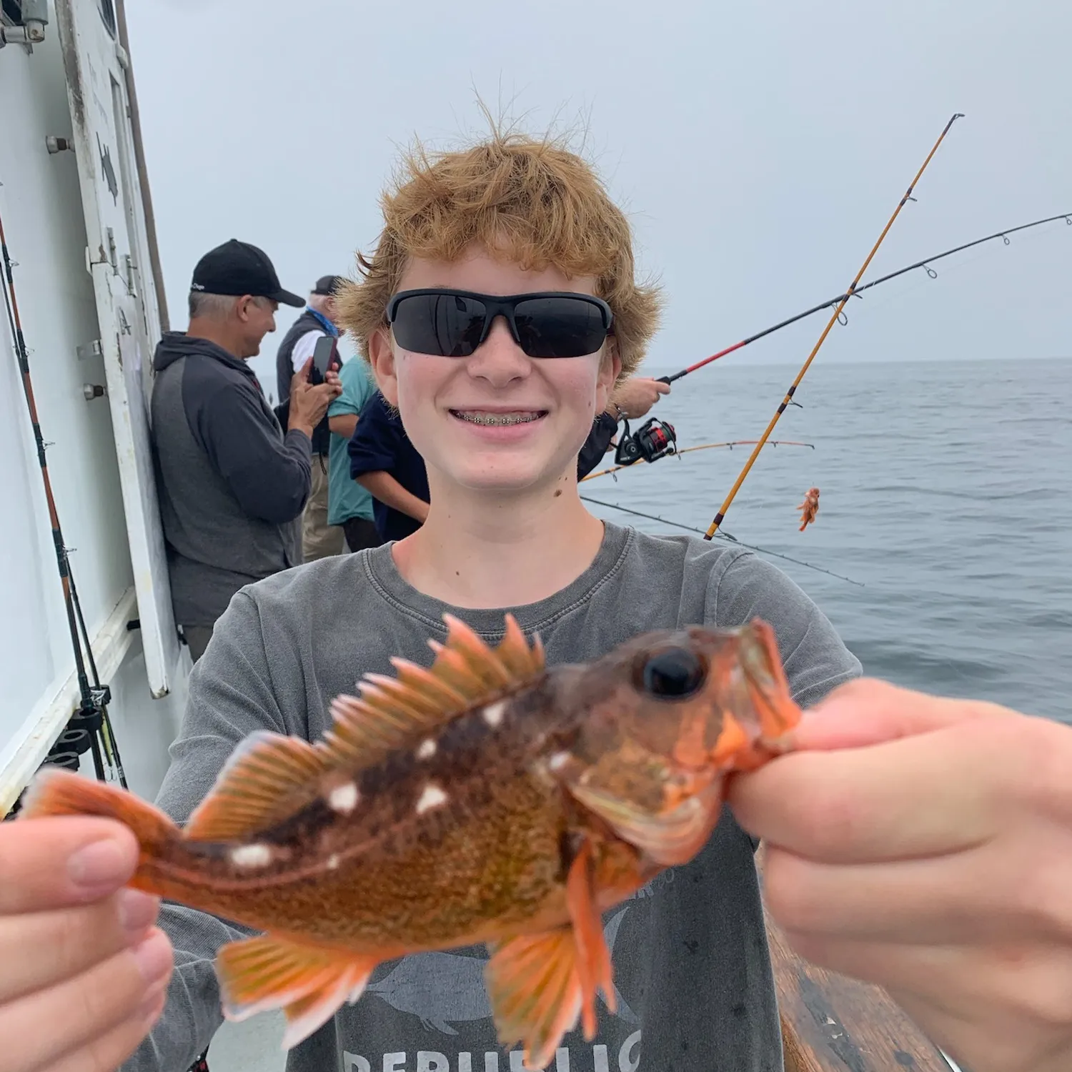 The most popular recent Starry rockfish catch on Fishbrain