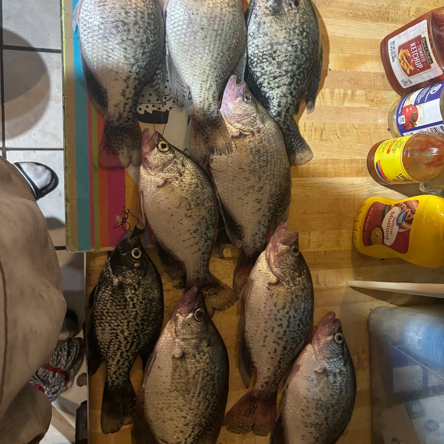 recently logged catches