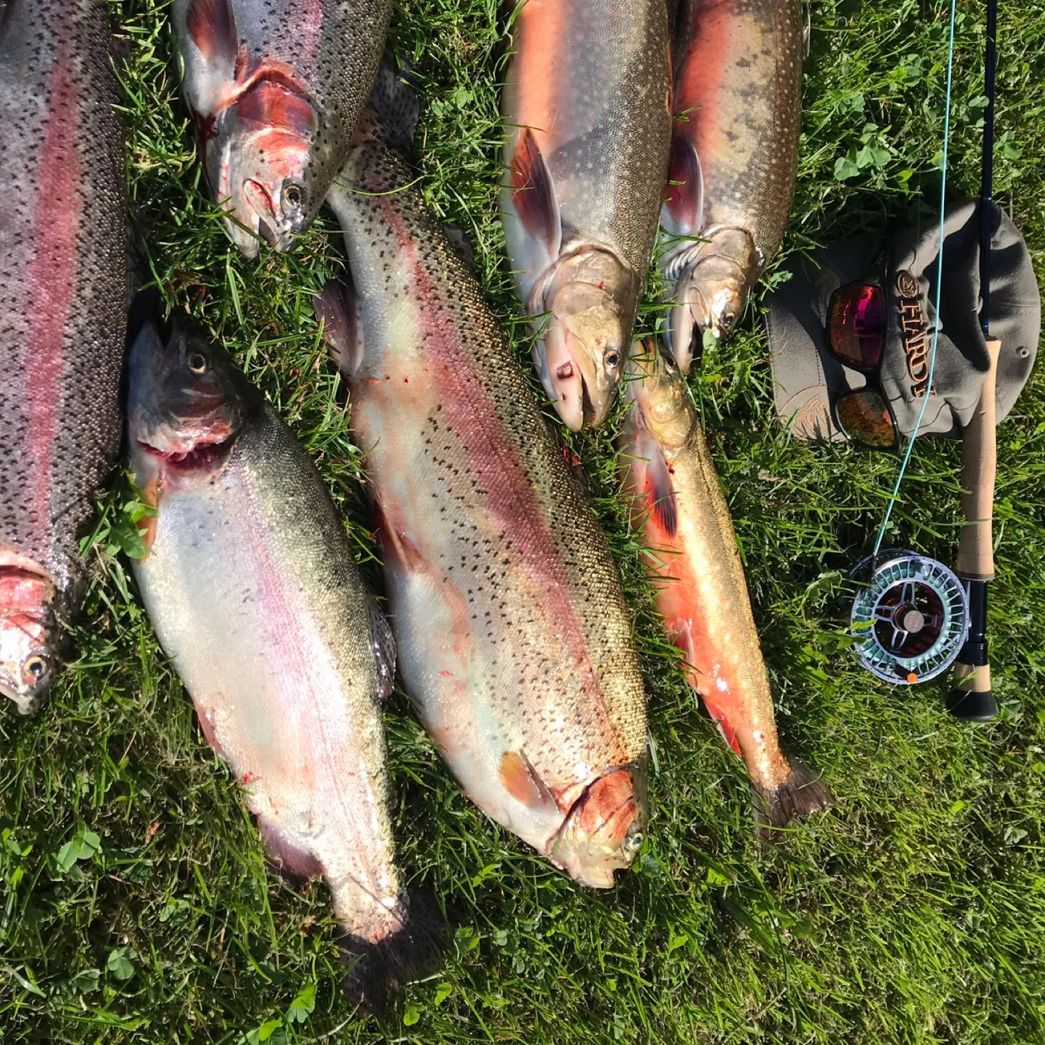 recently logged catches