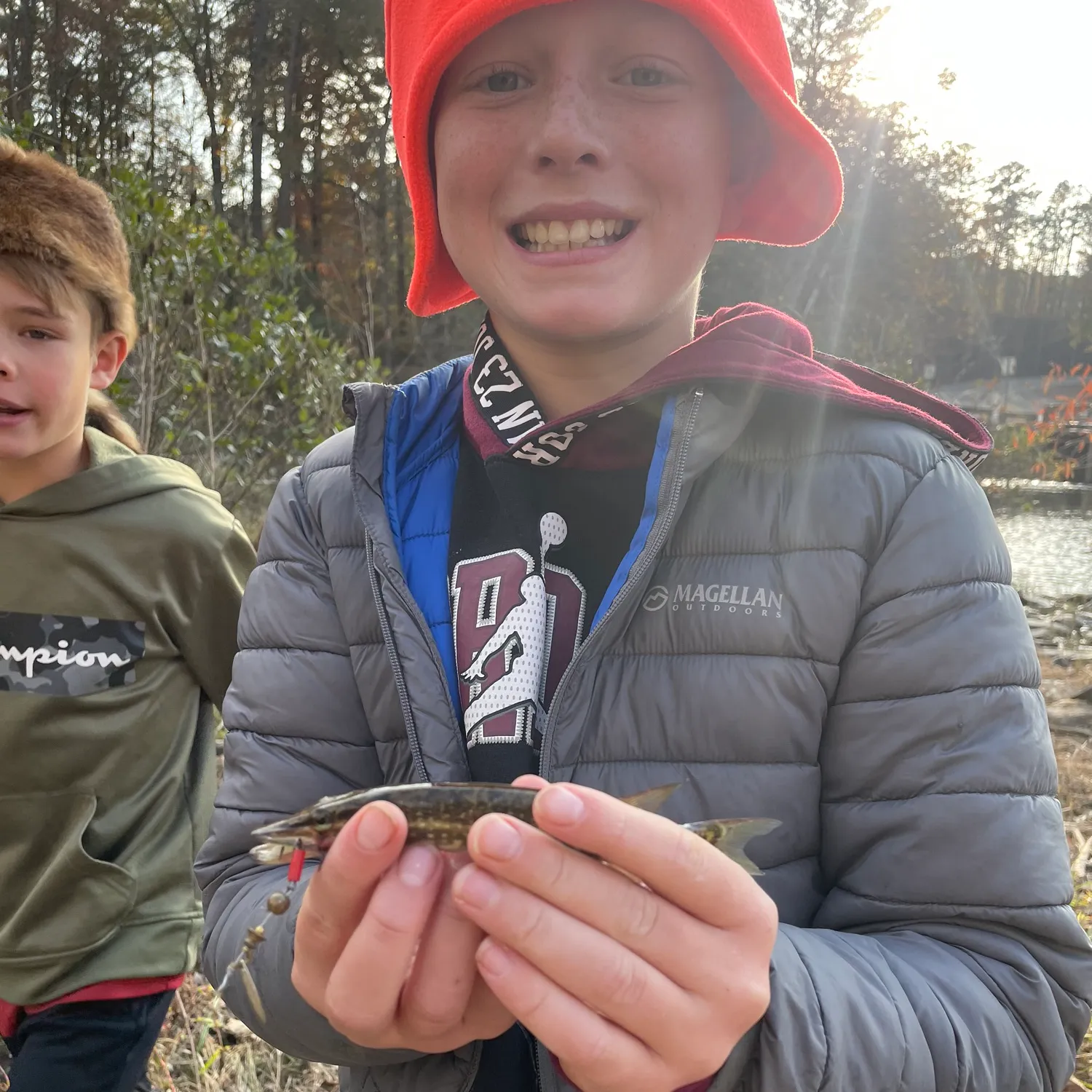 The most popular recent Grass pickerel catch on Fishbrain