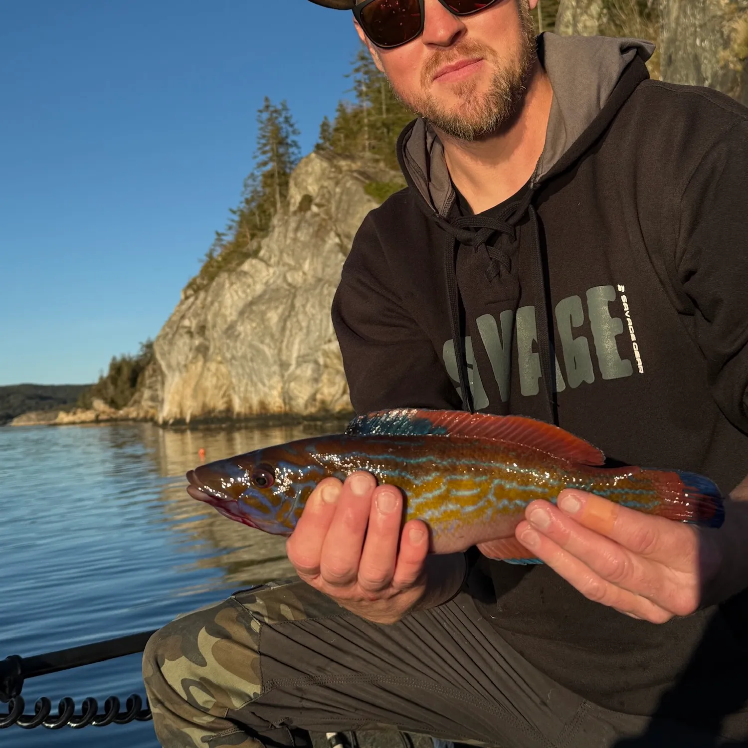 The most popular recent Cuckoo wrasse catch on Fishbrain