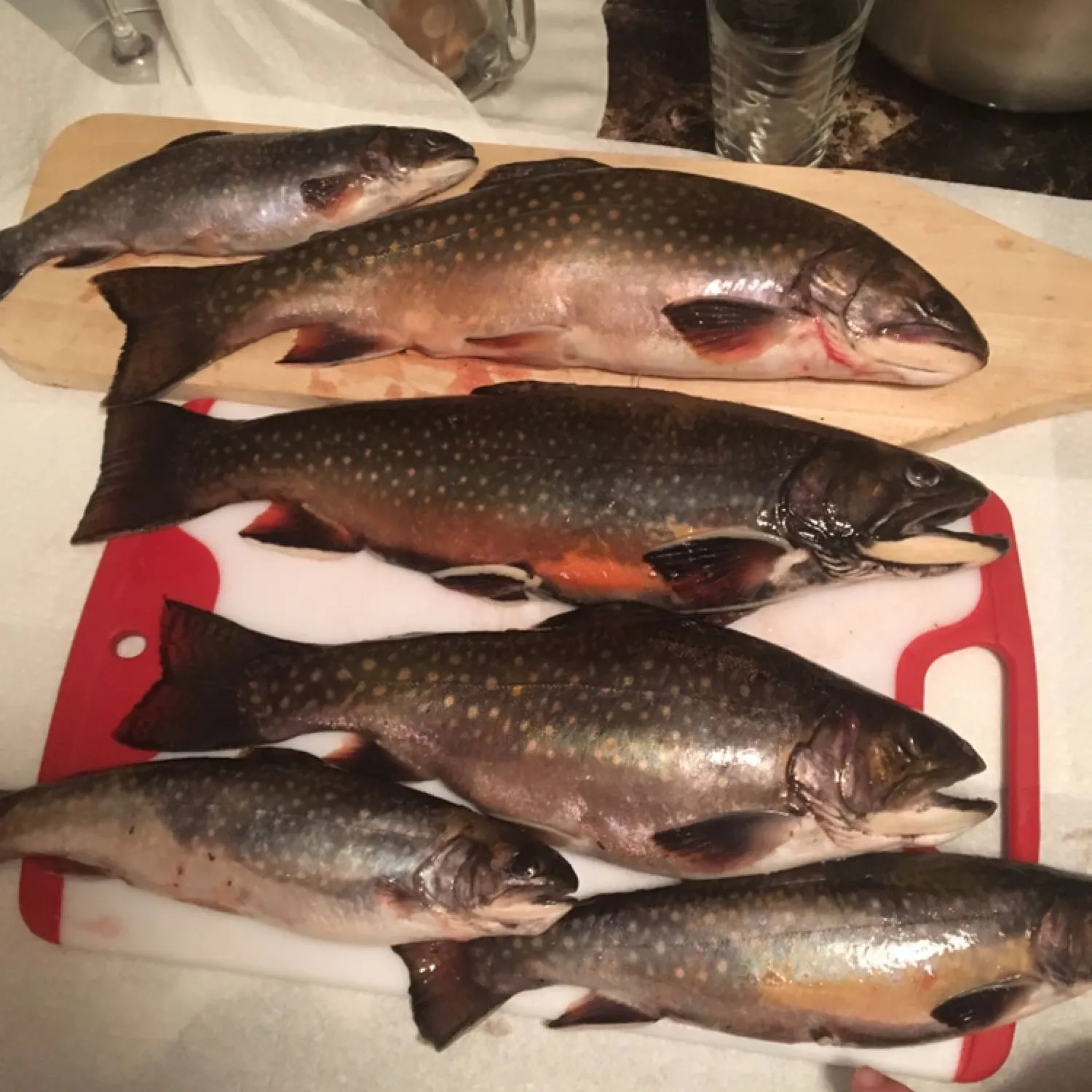 recently logged catches