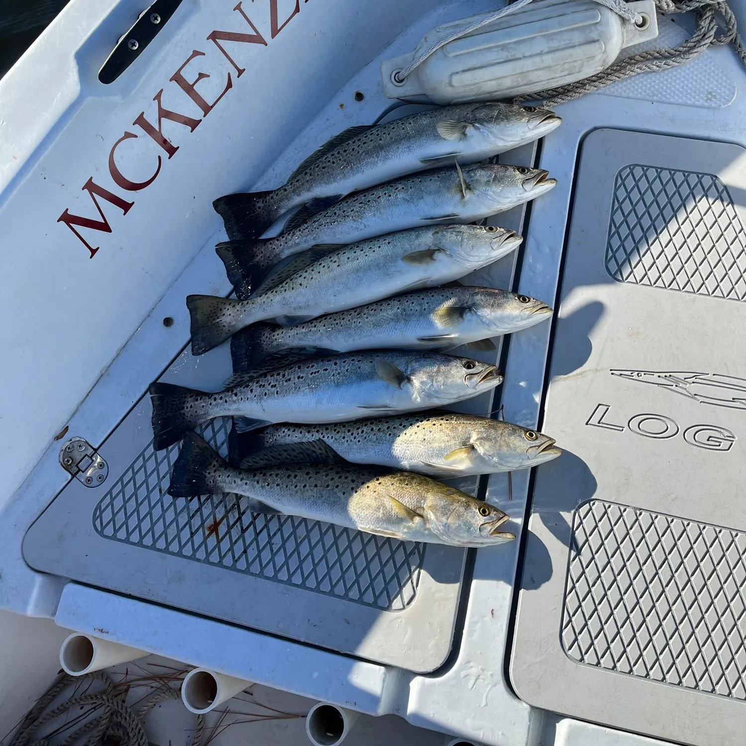 recently logged catches