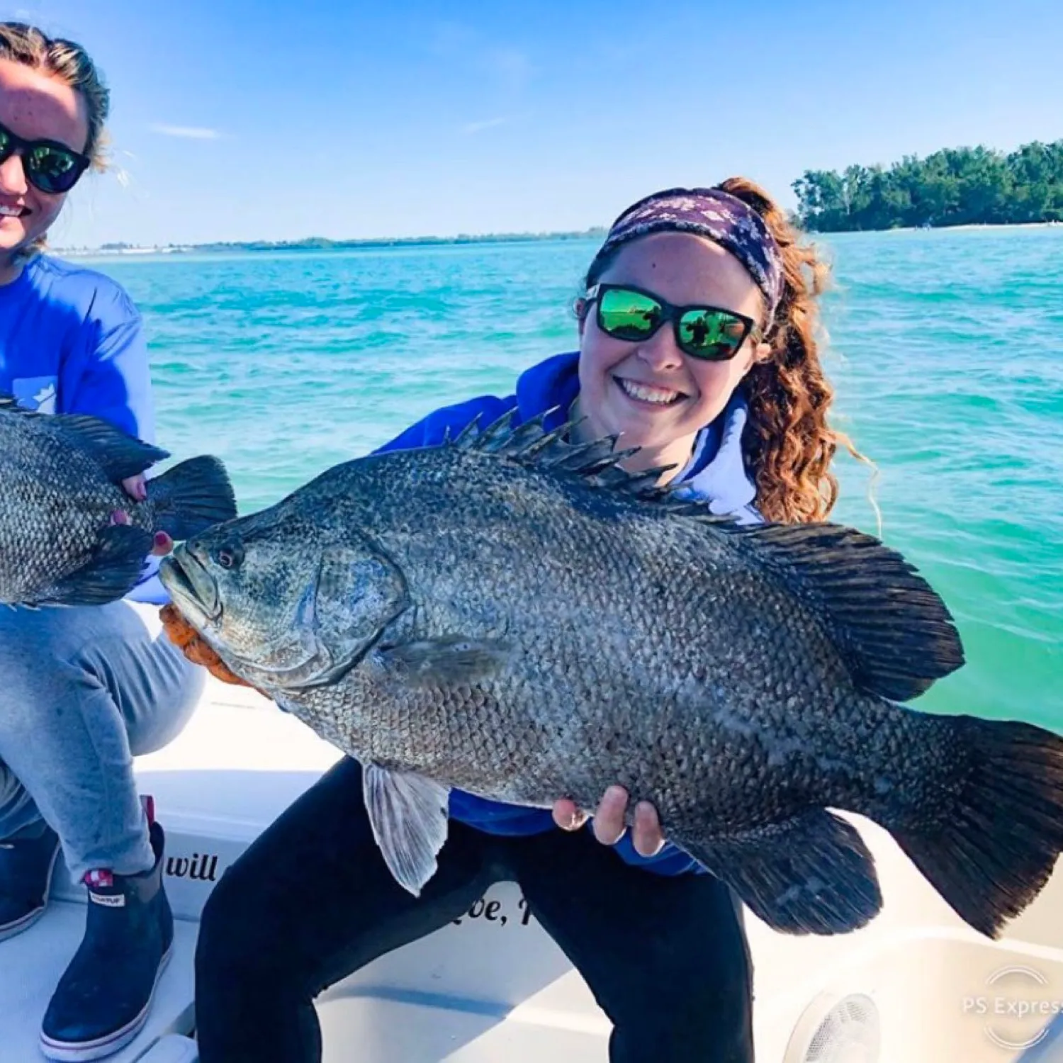 The most popular recent Atlantic tripletail catch on Fishbrain