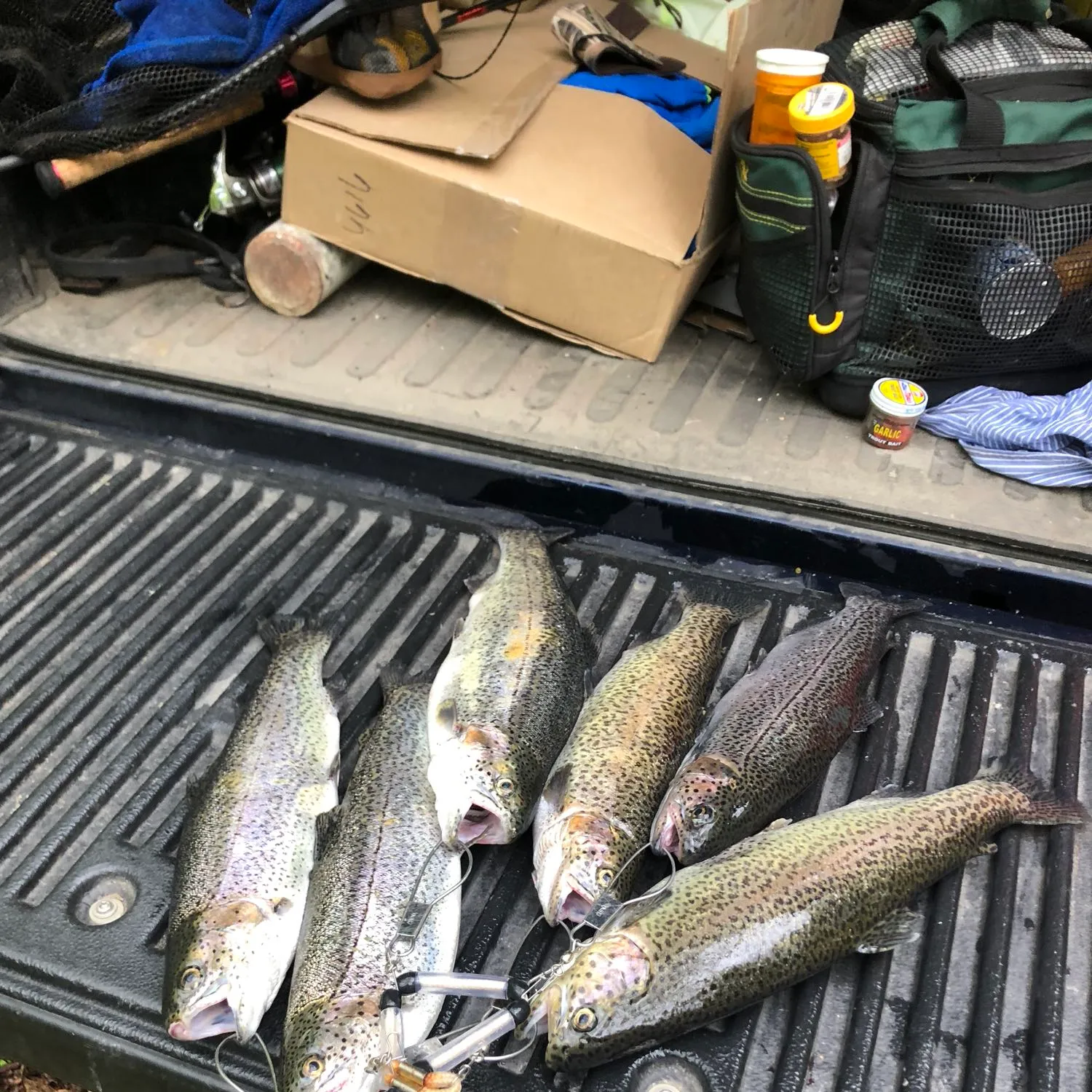 recently logged catches