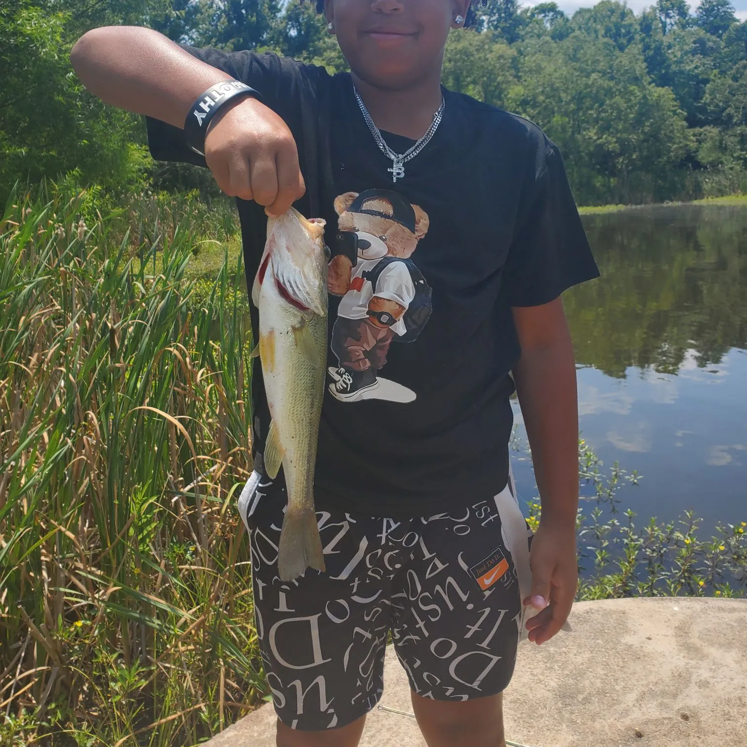 ᐅ Silver Lake fishing reports🎣• Gainesville, VA (United States) fishing