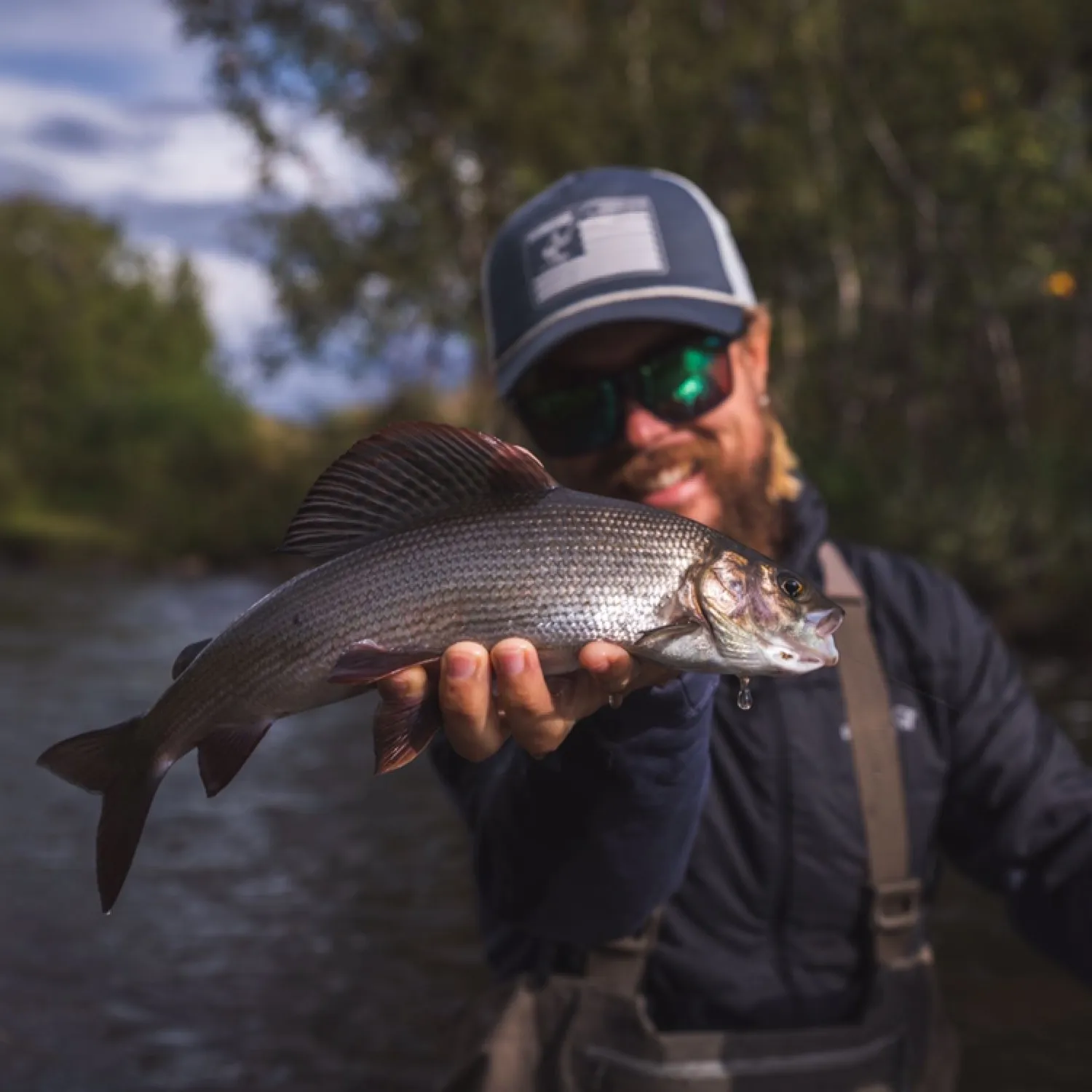 The most popular recent European grayling catch on Fishbrain