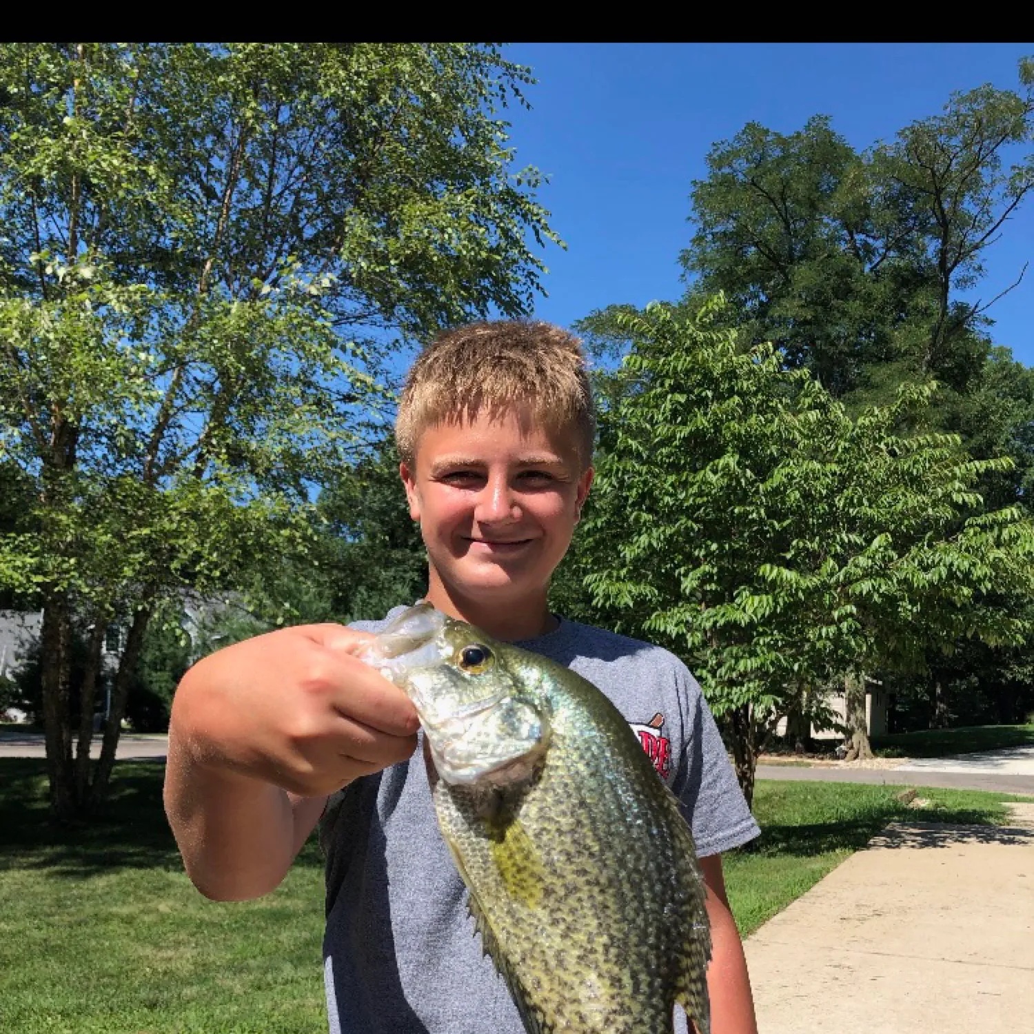 ᐅ Birkey Lake fishing reports🎣• Pekin, IL (United States) fishing