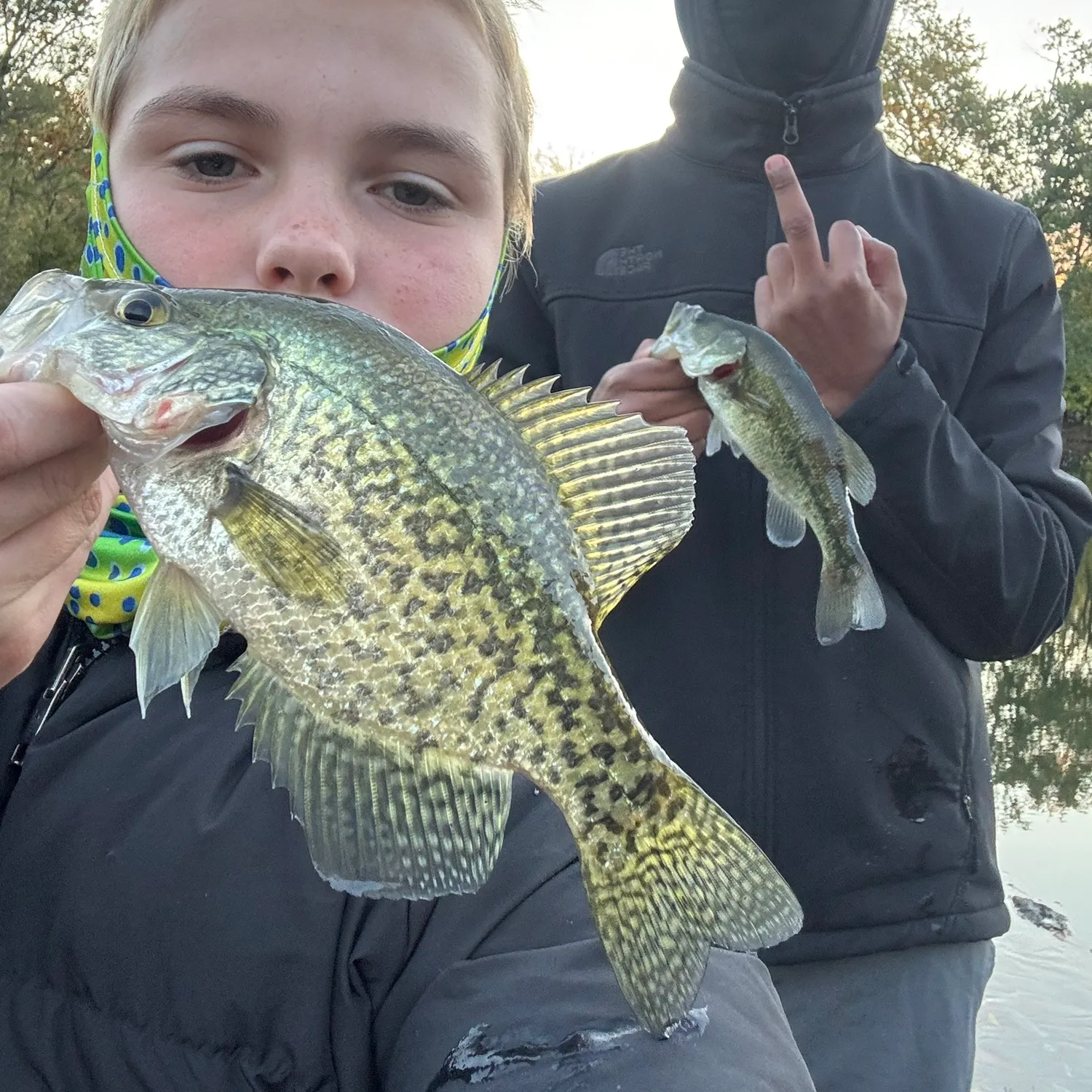 The most popular recent Black crappie catch on Fishbrain