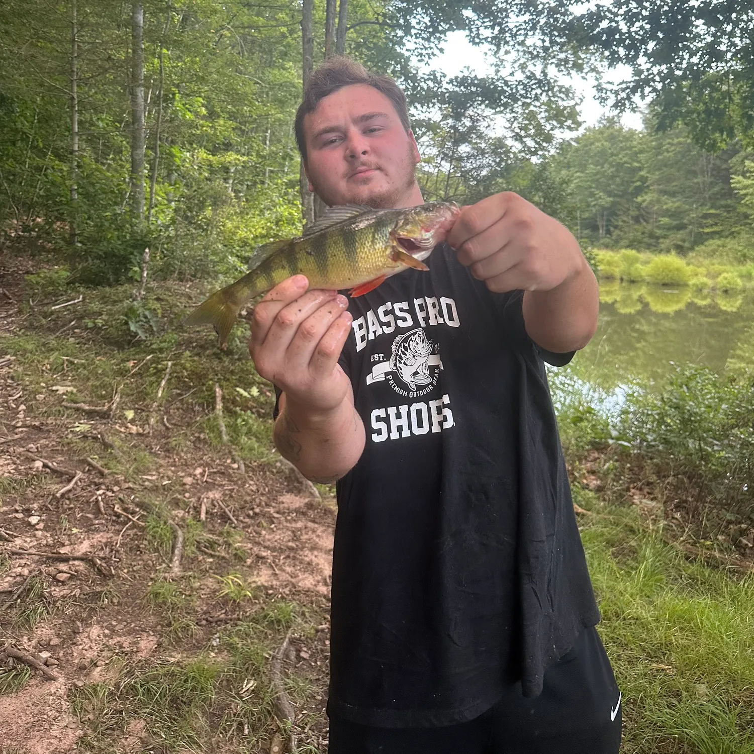 ᐅ Curtis Reservoir fishing reports🎣• Dunmore, PA (United States) fishing