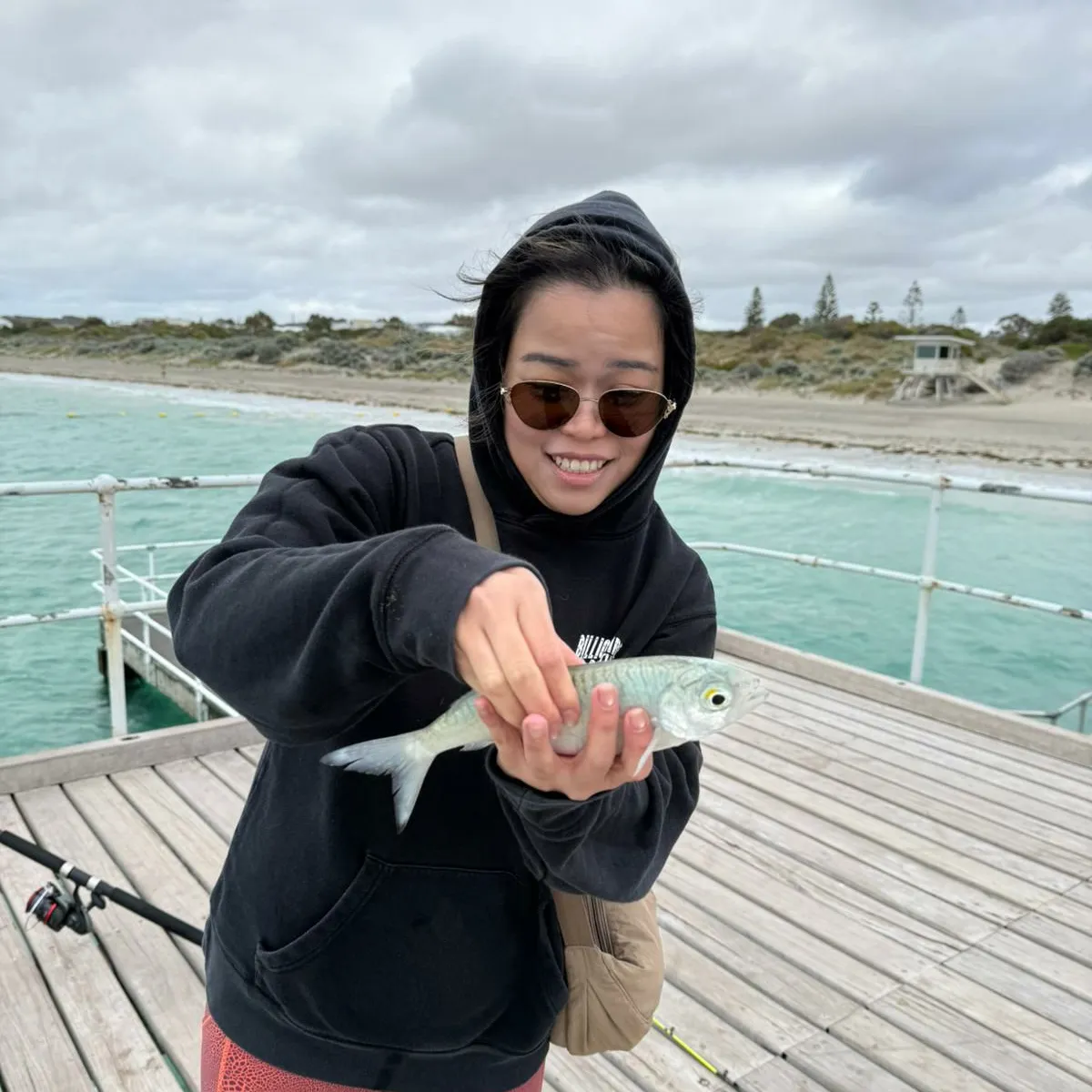 The most popular recent Australian ruff catch on Fishbrain