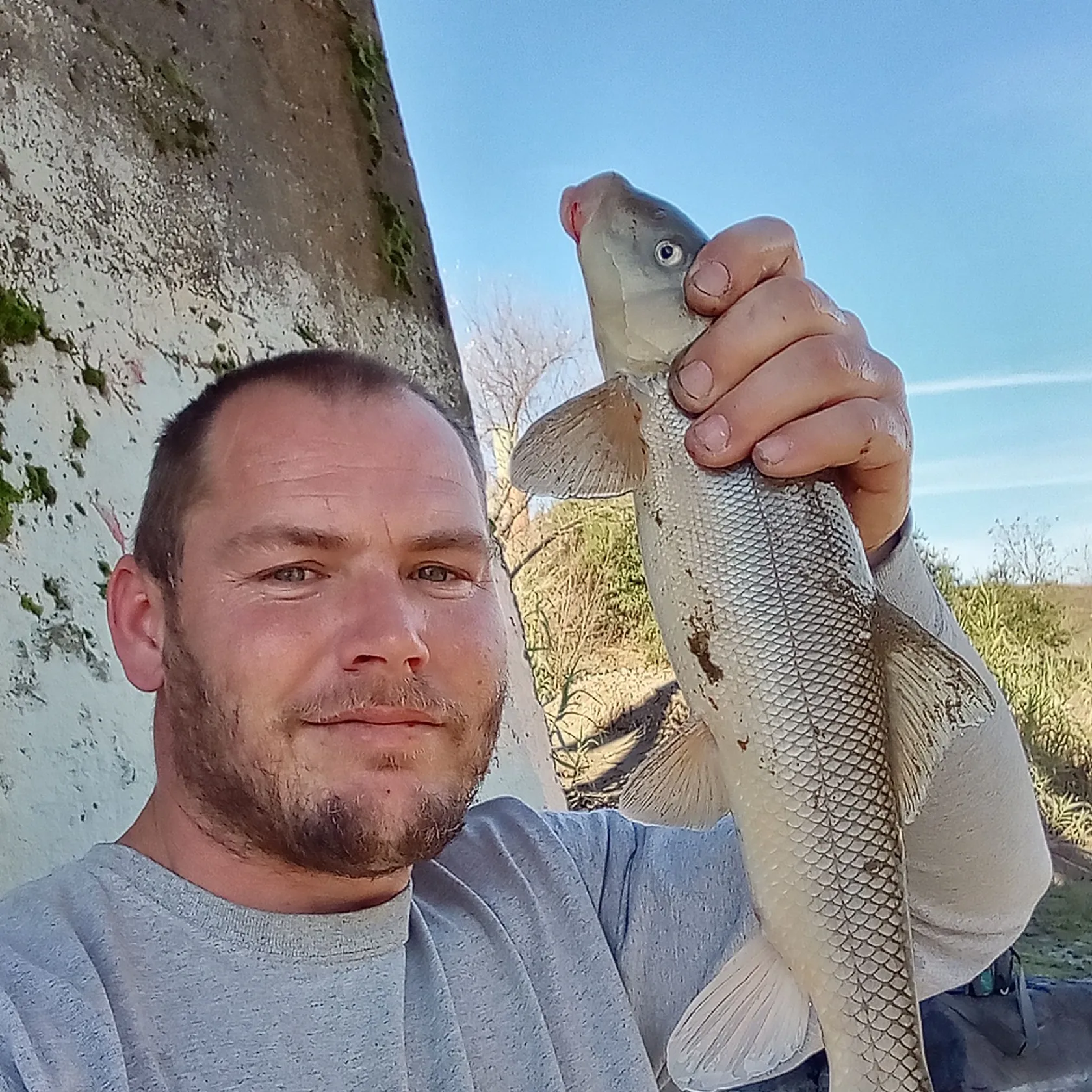 The most popular recent Sacramento sucker catch on Fishbrain