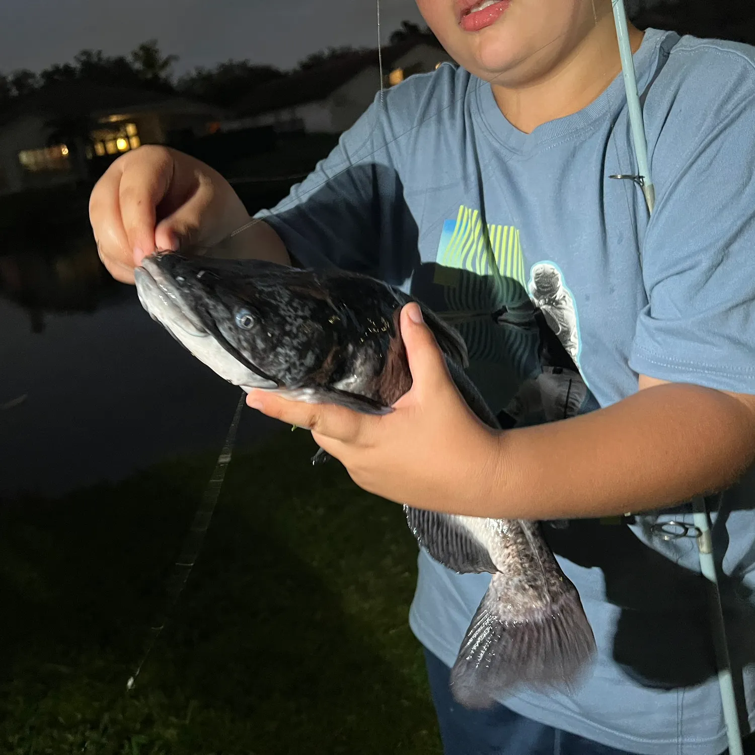 The most popular recent Spotted bullhead catch on Fishbrain