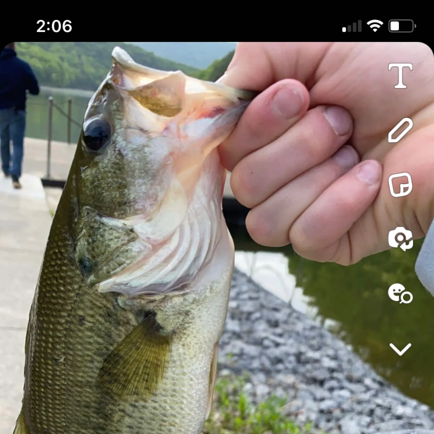 recently logged catches