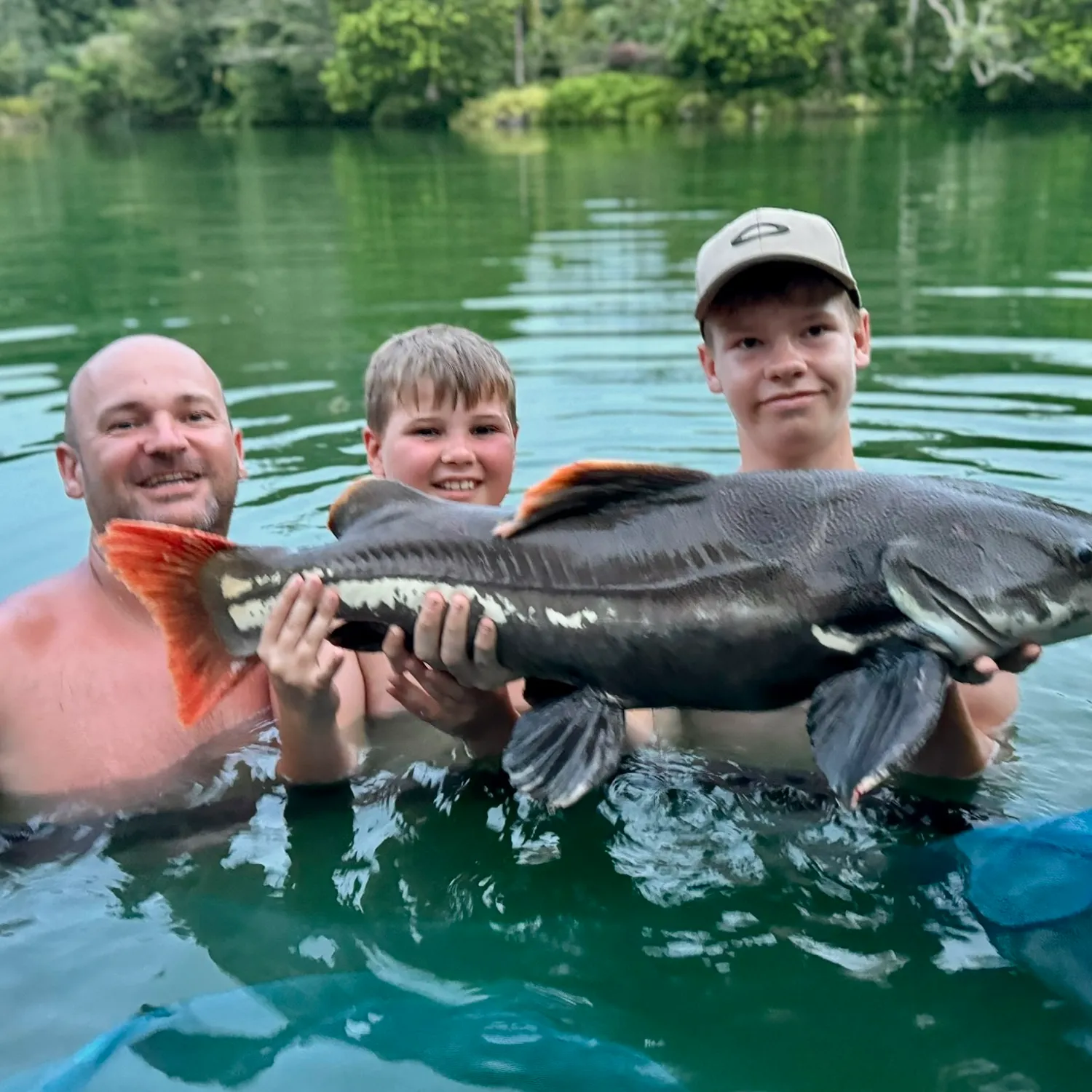 The most popular recent Redtail catfish catch on Fishbrain