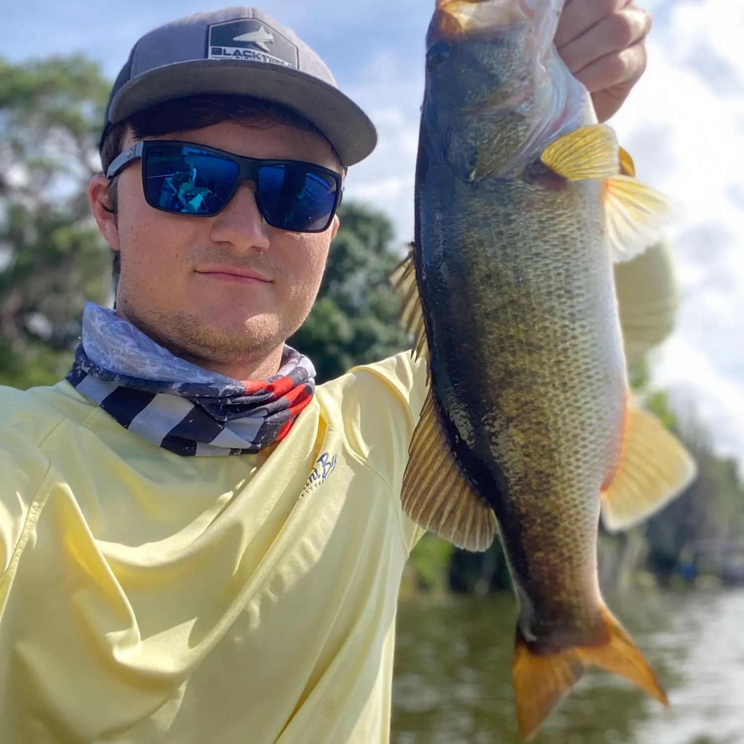 ᐅ Lake Link fishing reports🎣• Winter Haven, FL (United States) fishing