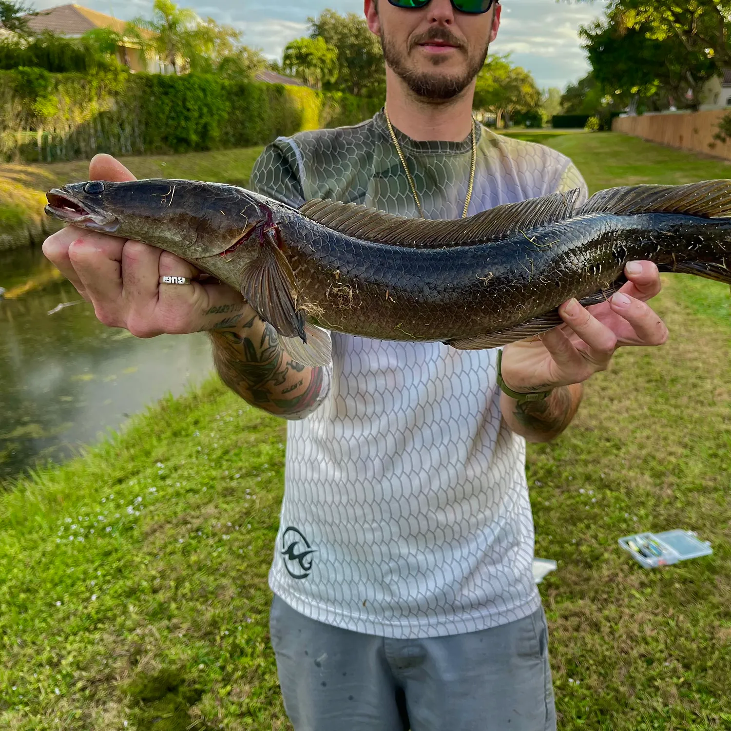 The most popular recent Bullseye snakehead catch on Fishbrain