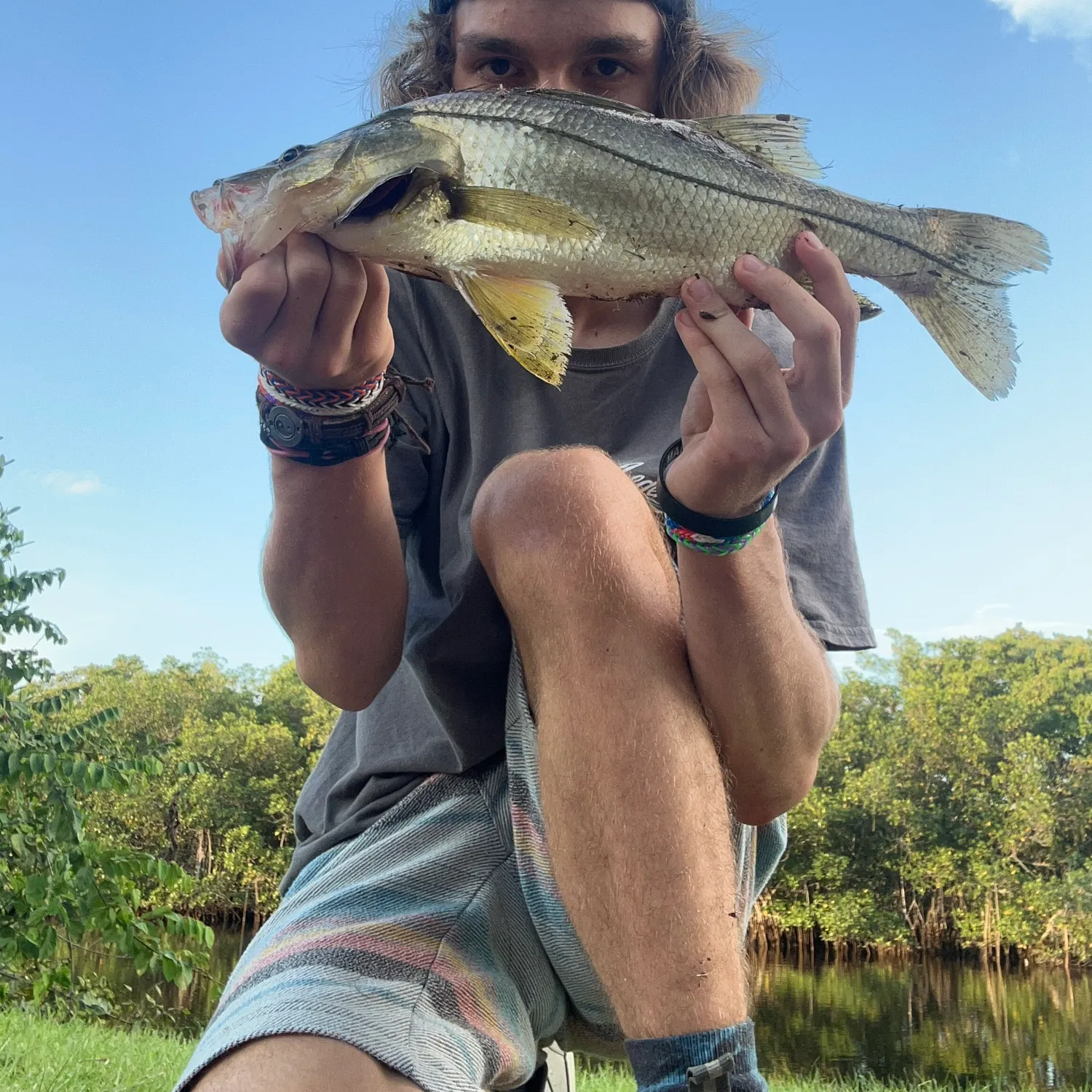 The most popular recent Swordspine Snook catch on Fishbrain