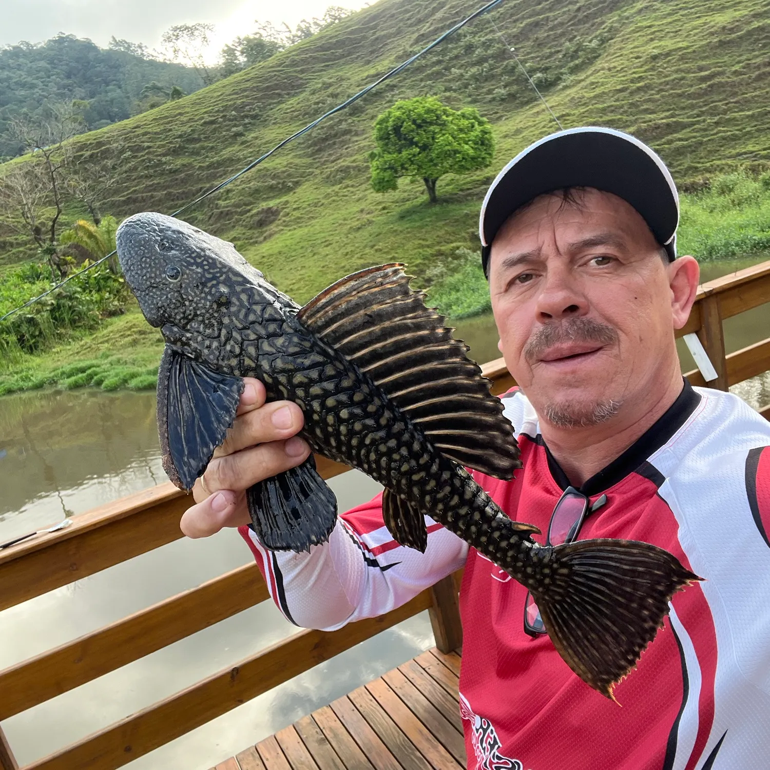 The most popular recent Snow Pleco catch on Fishbrain