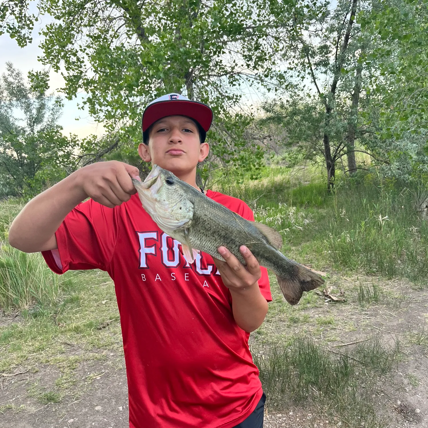 ᐅ Lake Loveland fishing reports🎣• Loveland, CO (United States) fishing