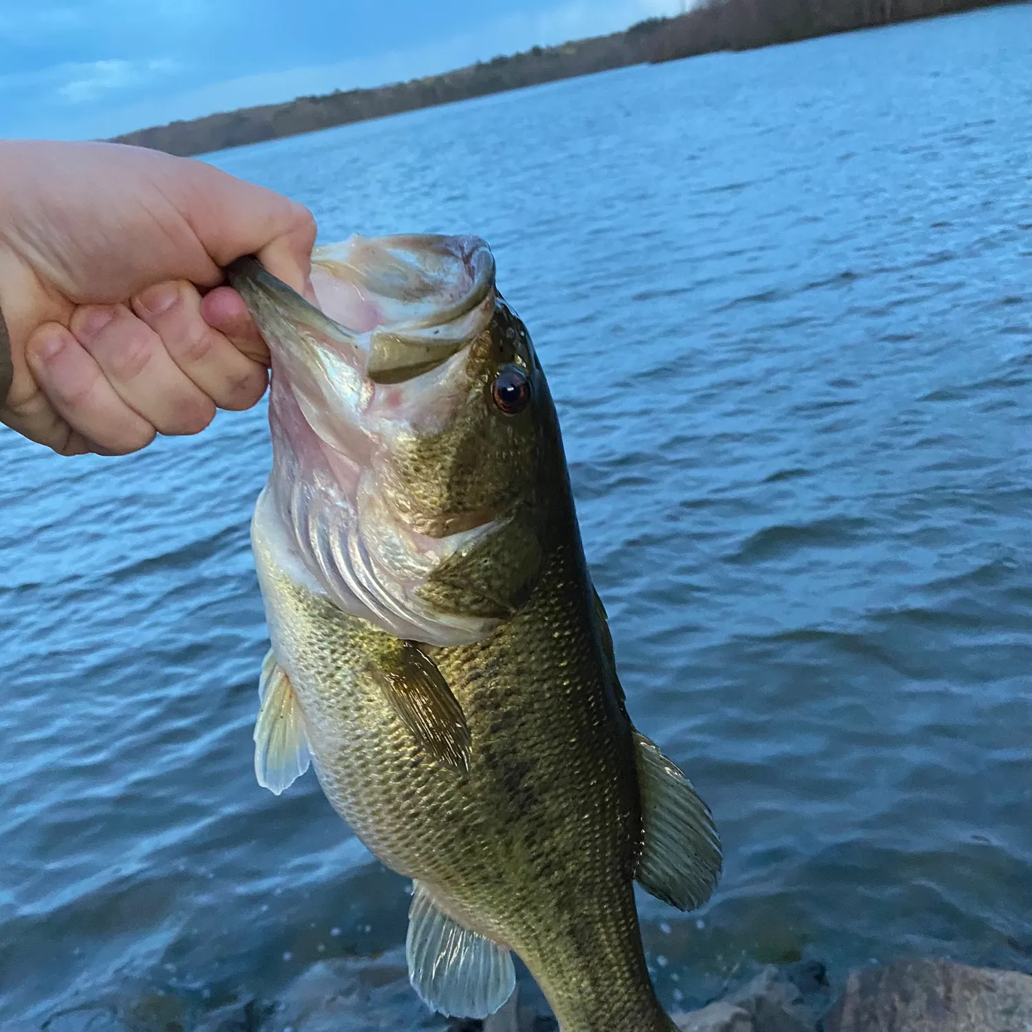 ᐅ Broad Brook Reservoir fishing reports🎣• Cheshire, CT (United States ...