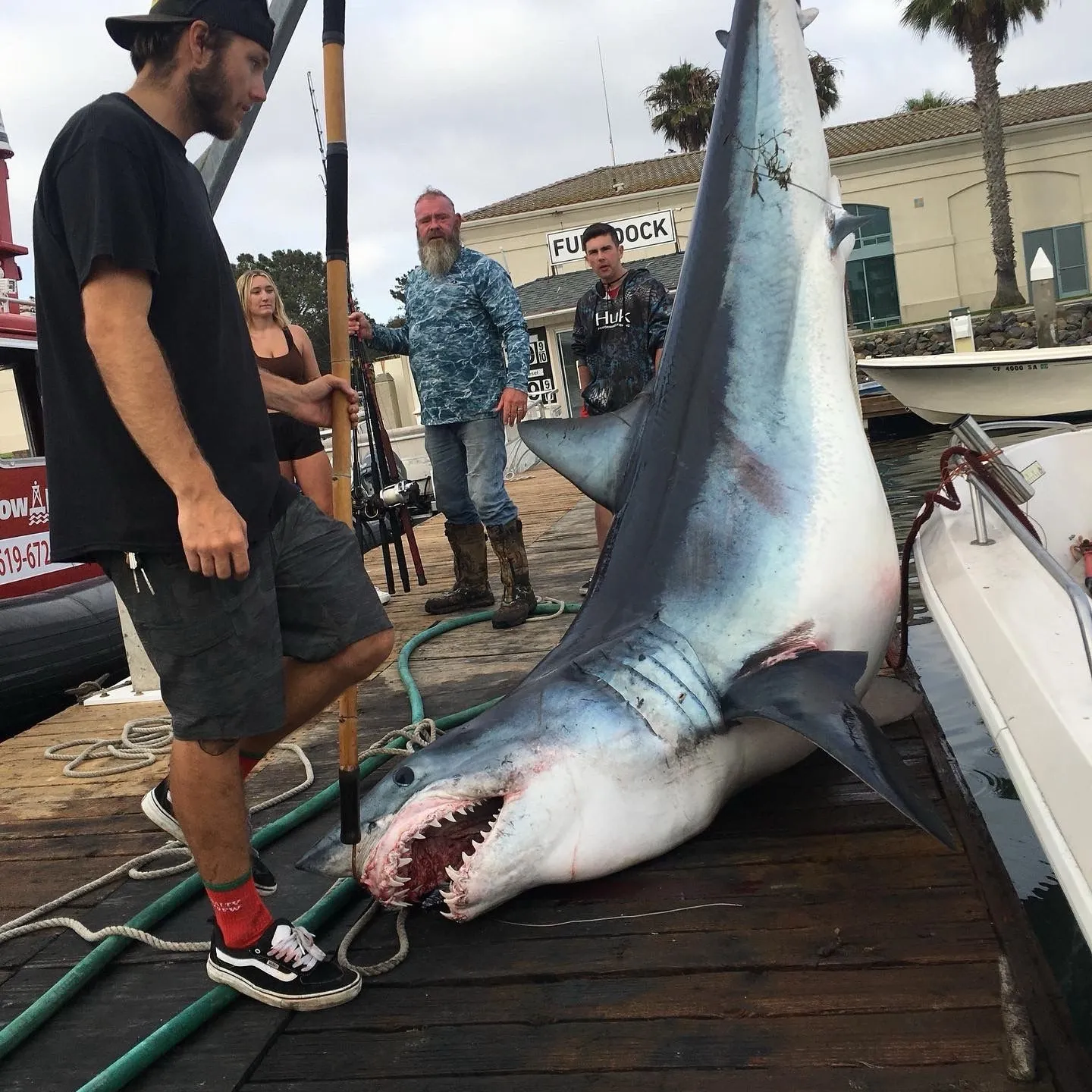 The most popular recent Shortfin mako shark catch on Fishbrain