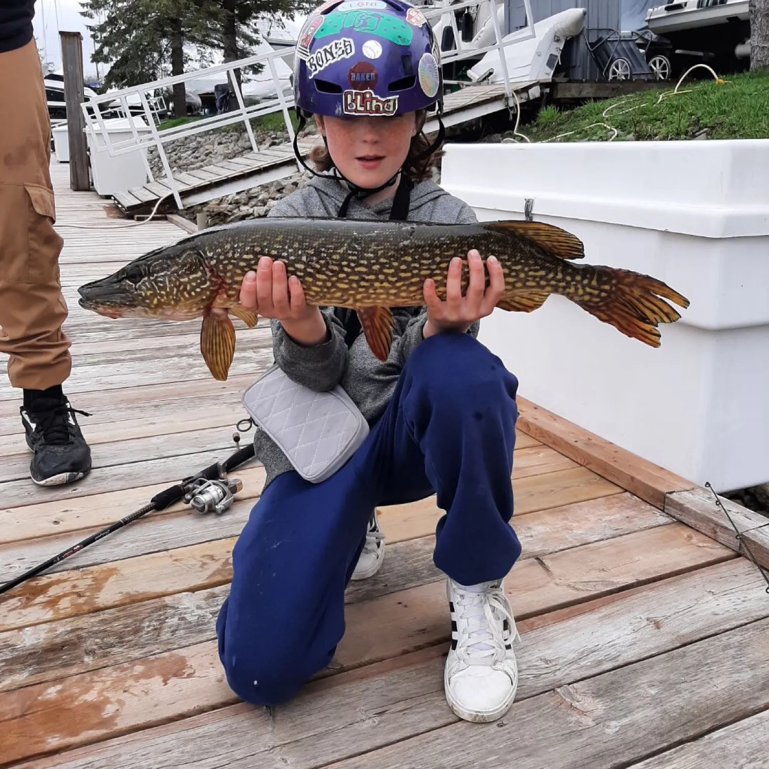 ᐅ Little Lake fishing reports🎣• Ontario, Canada fishing