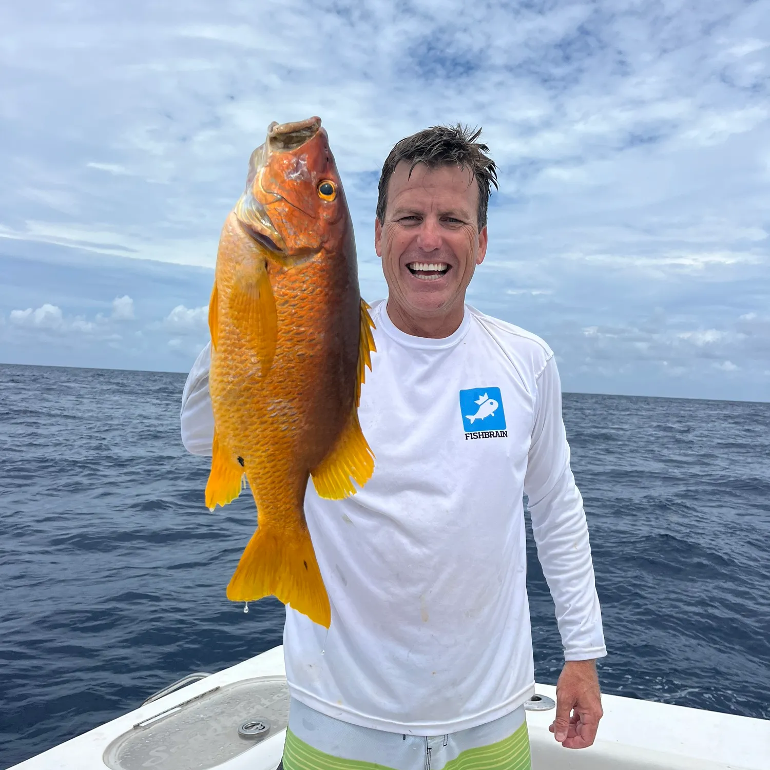 The most popular recent Schoolmaster snapper catch on Fishbrain