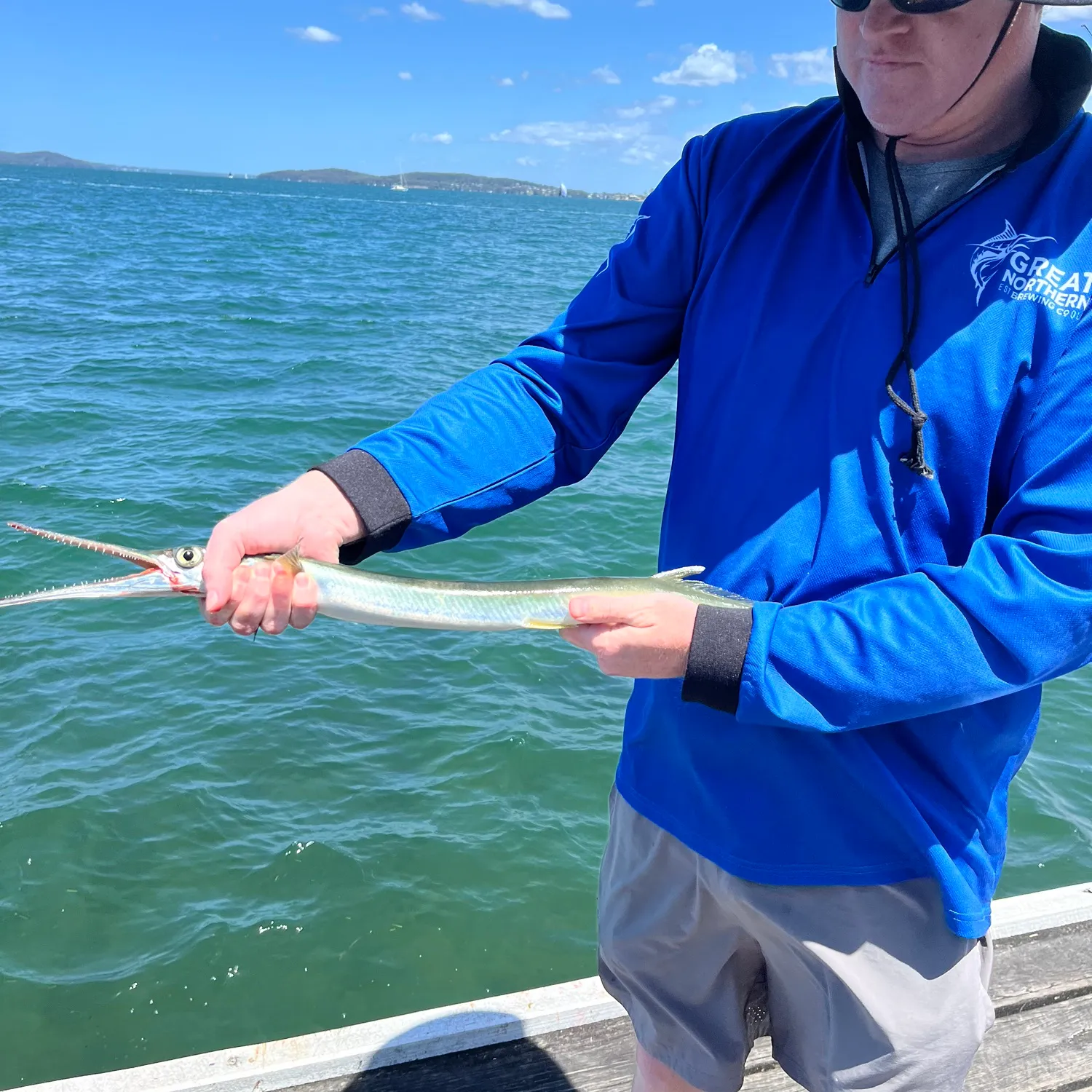 The most popular recent Flat needlefish catch on Fishbrain