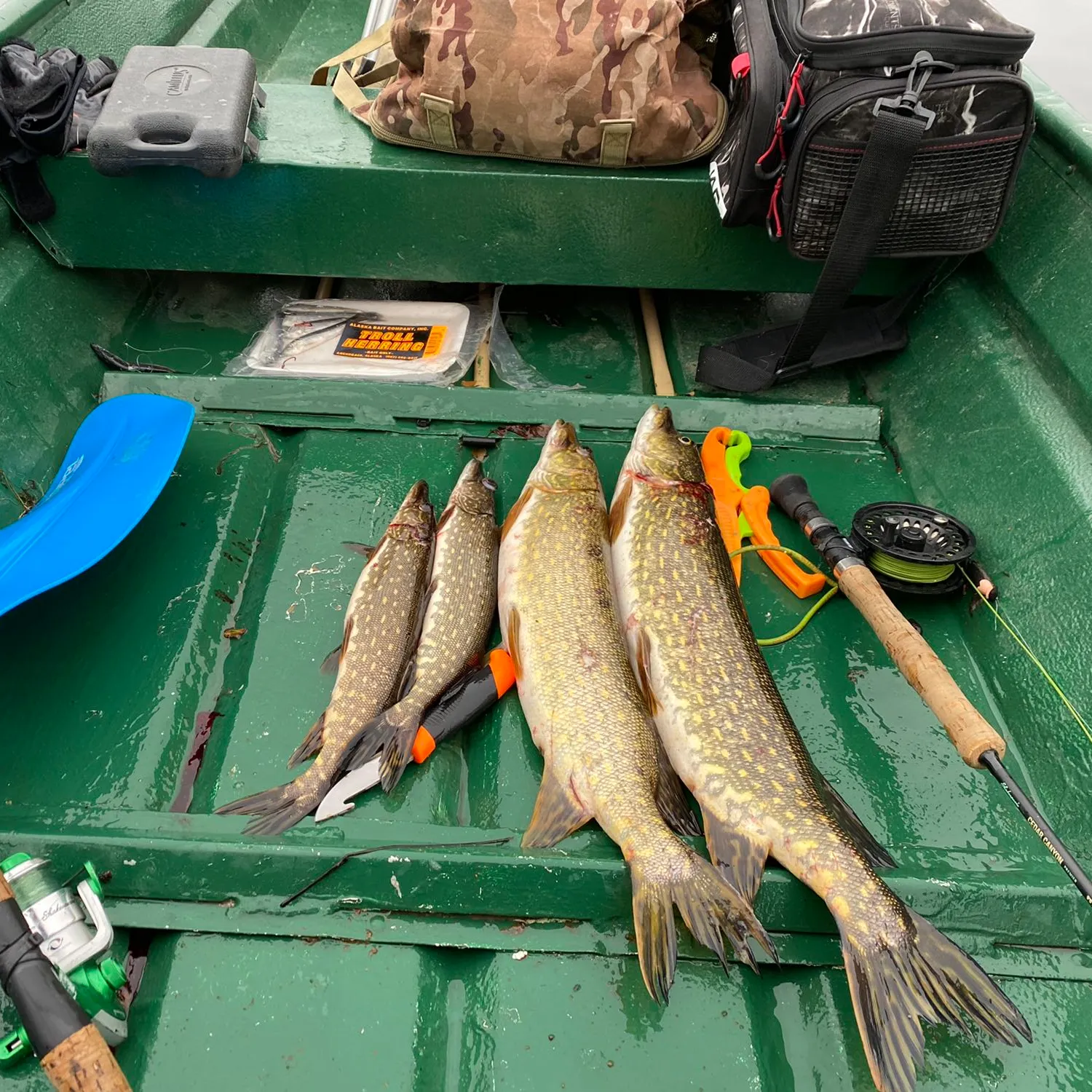 recently logged catches