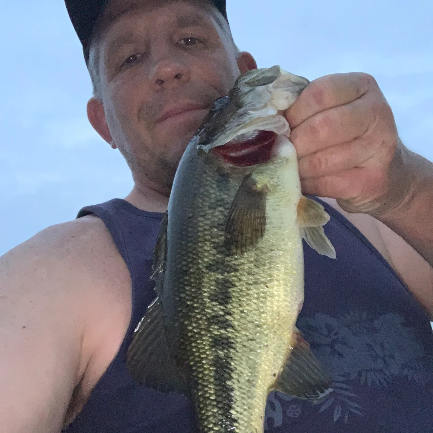 ᐅ Lake Silkworth fishing reports🎣• Kingston, PA (United States) fishing