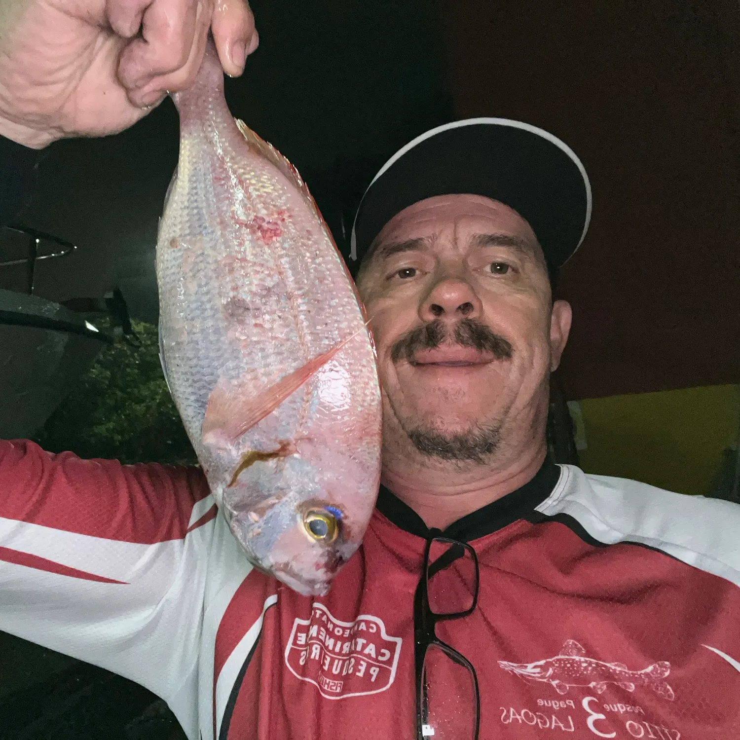 The most popular recent Common seabream catch on Fishbrain