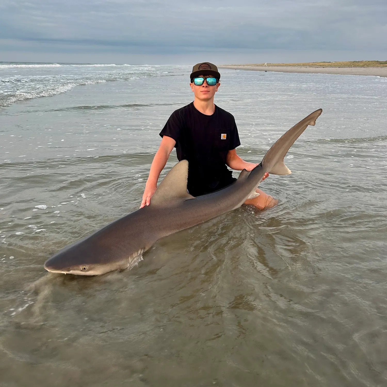 The most popular recent Dusky shark catch on Fishbrain