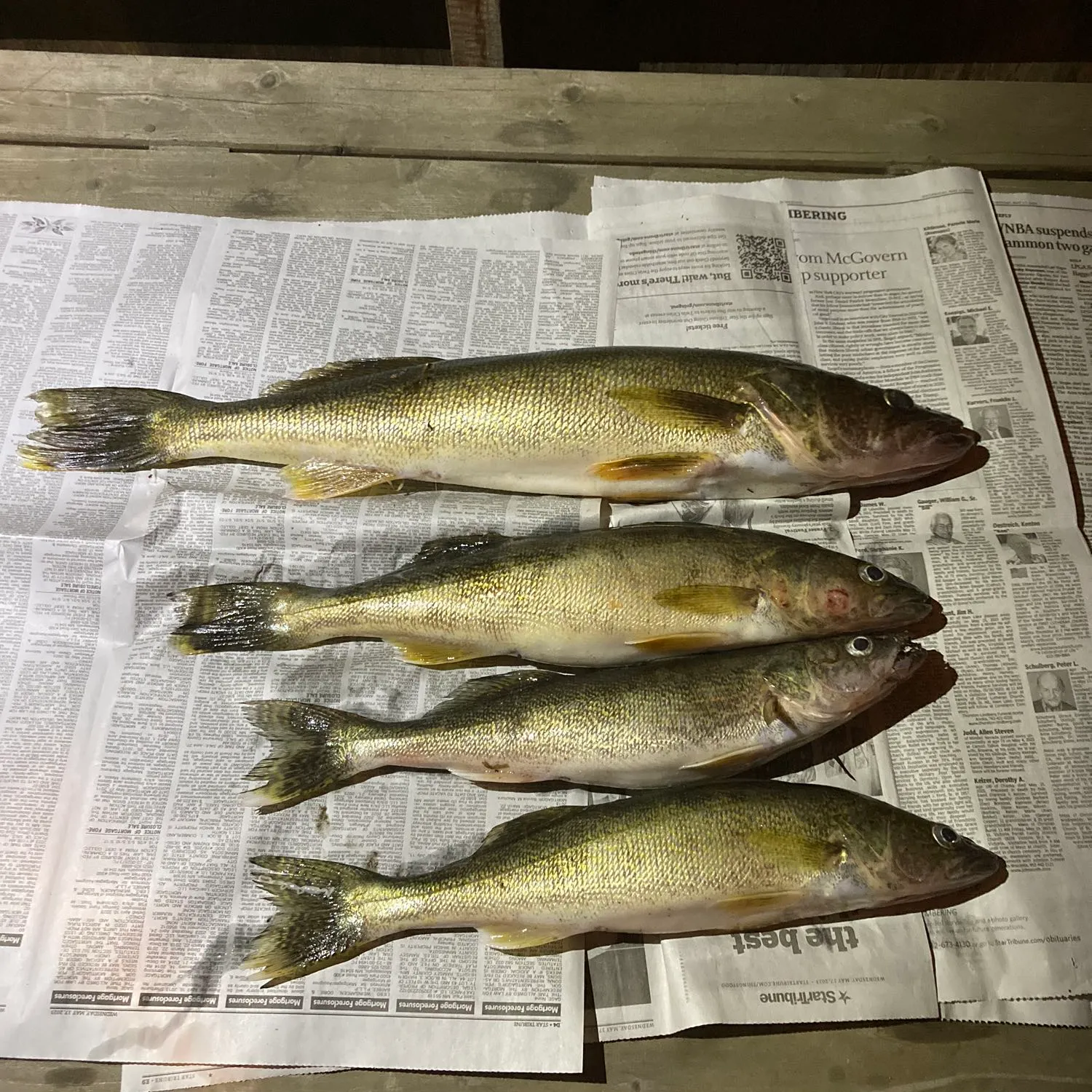 recently logged catches