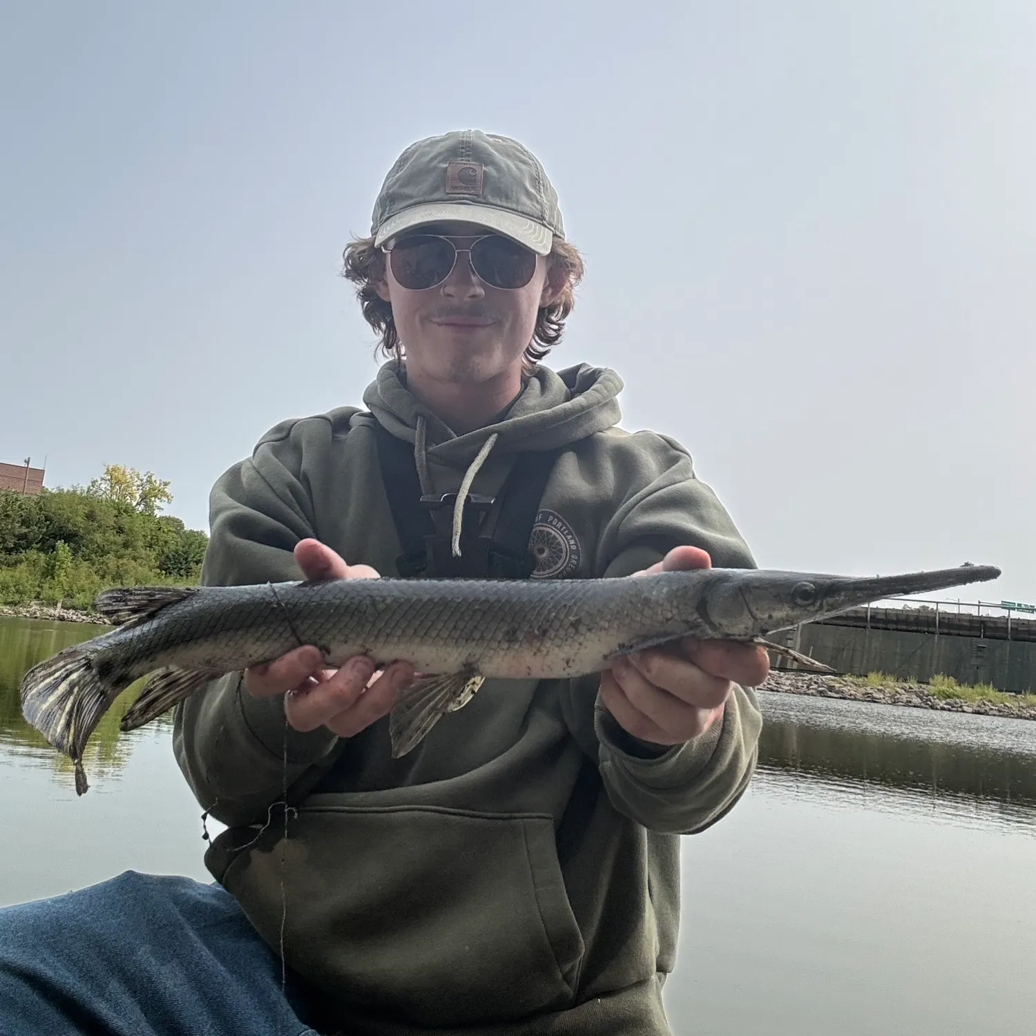 The most popular recent Shortnose gar catch on Fishbrain