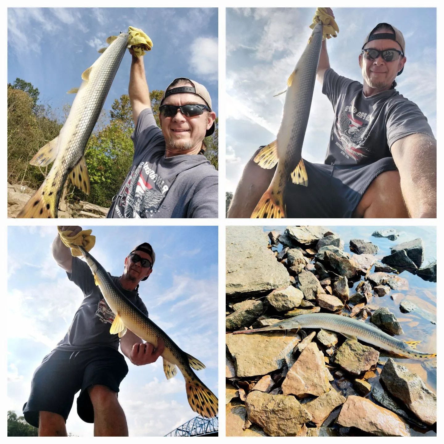 recently logged catches