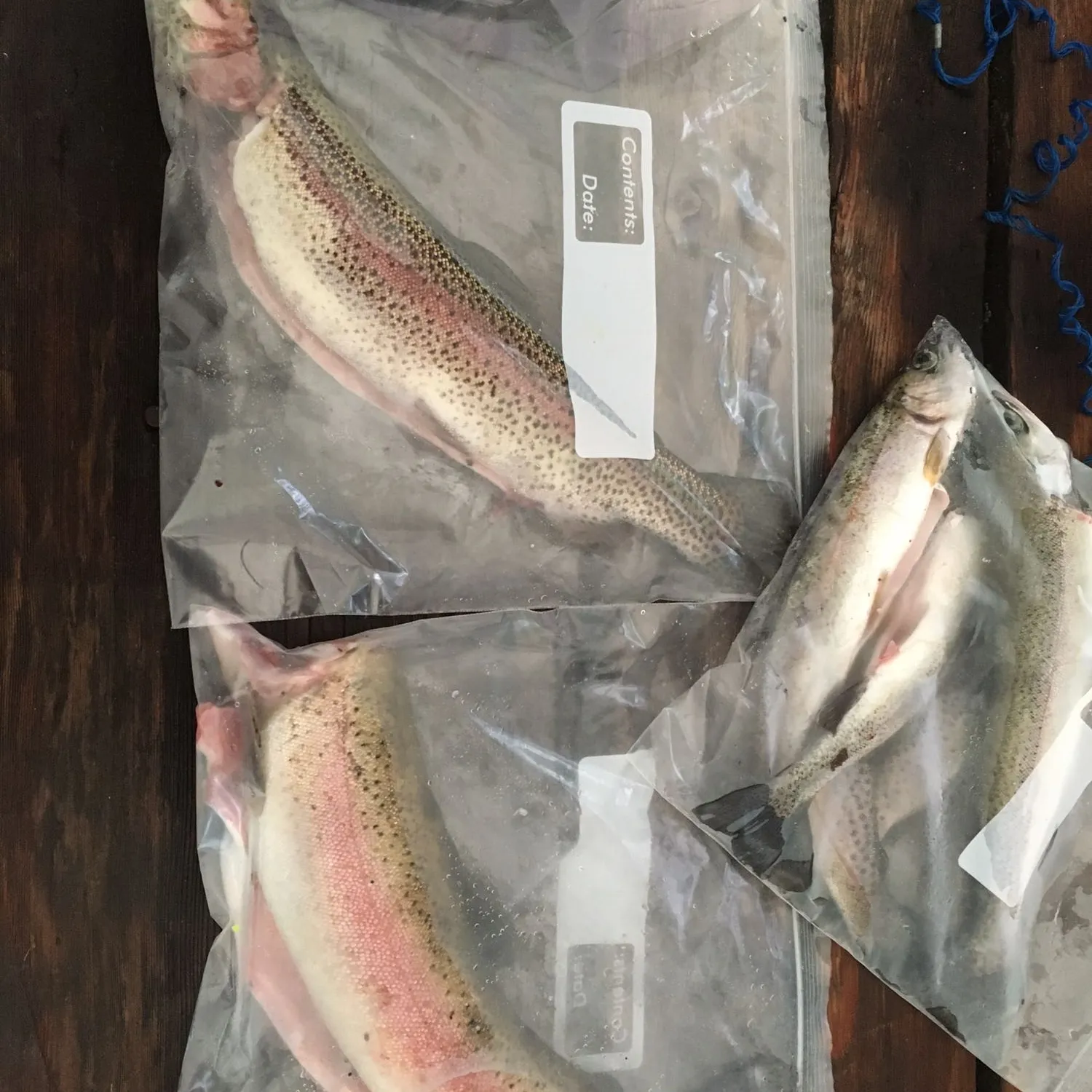 recently logged catches