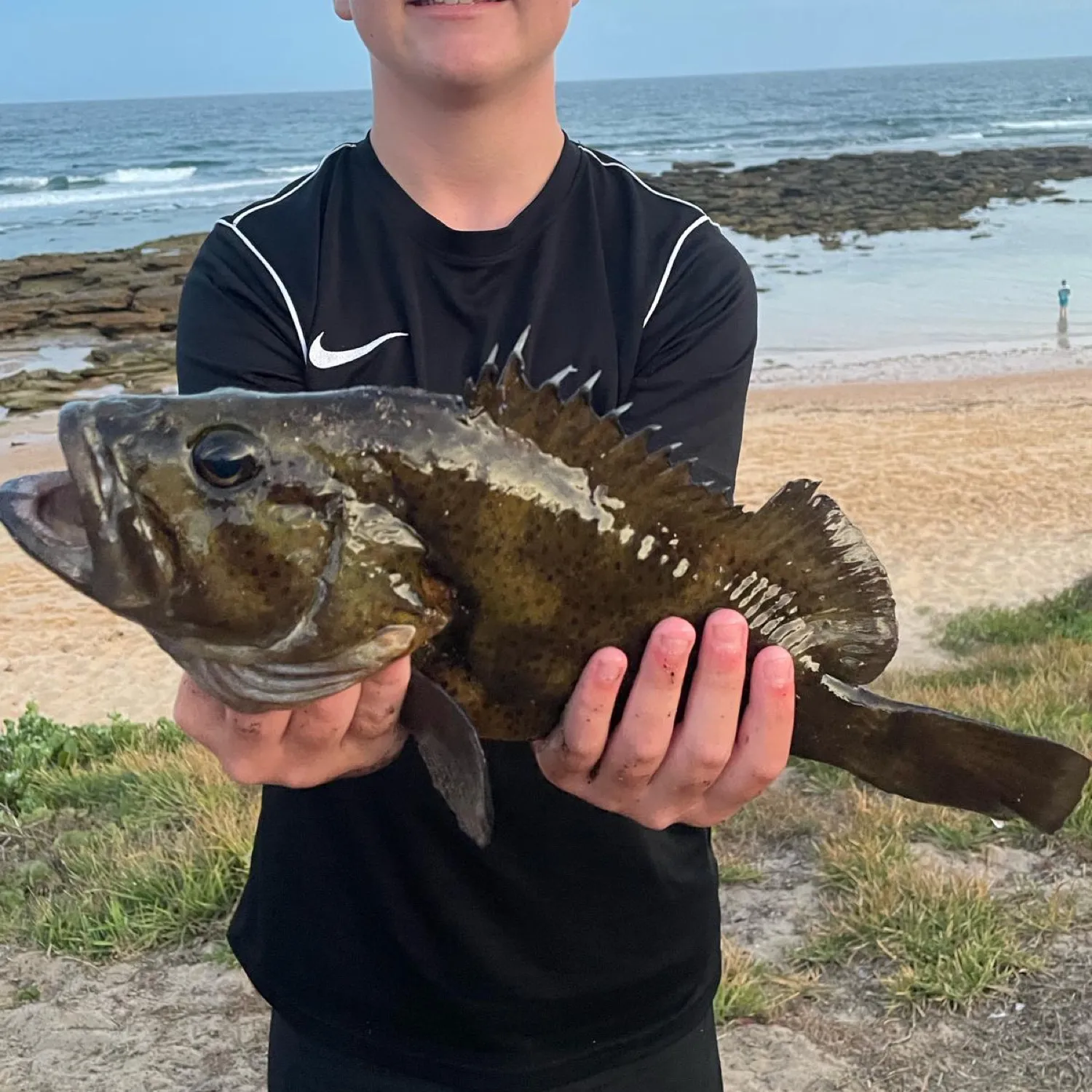 The most popular recent Eastern wirrah catch on Fishbrain