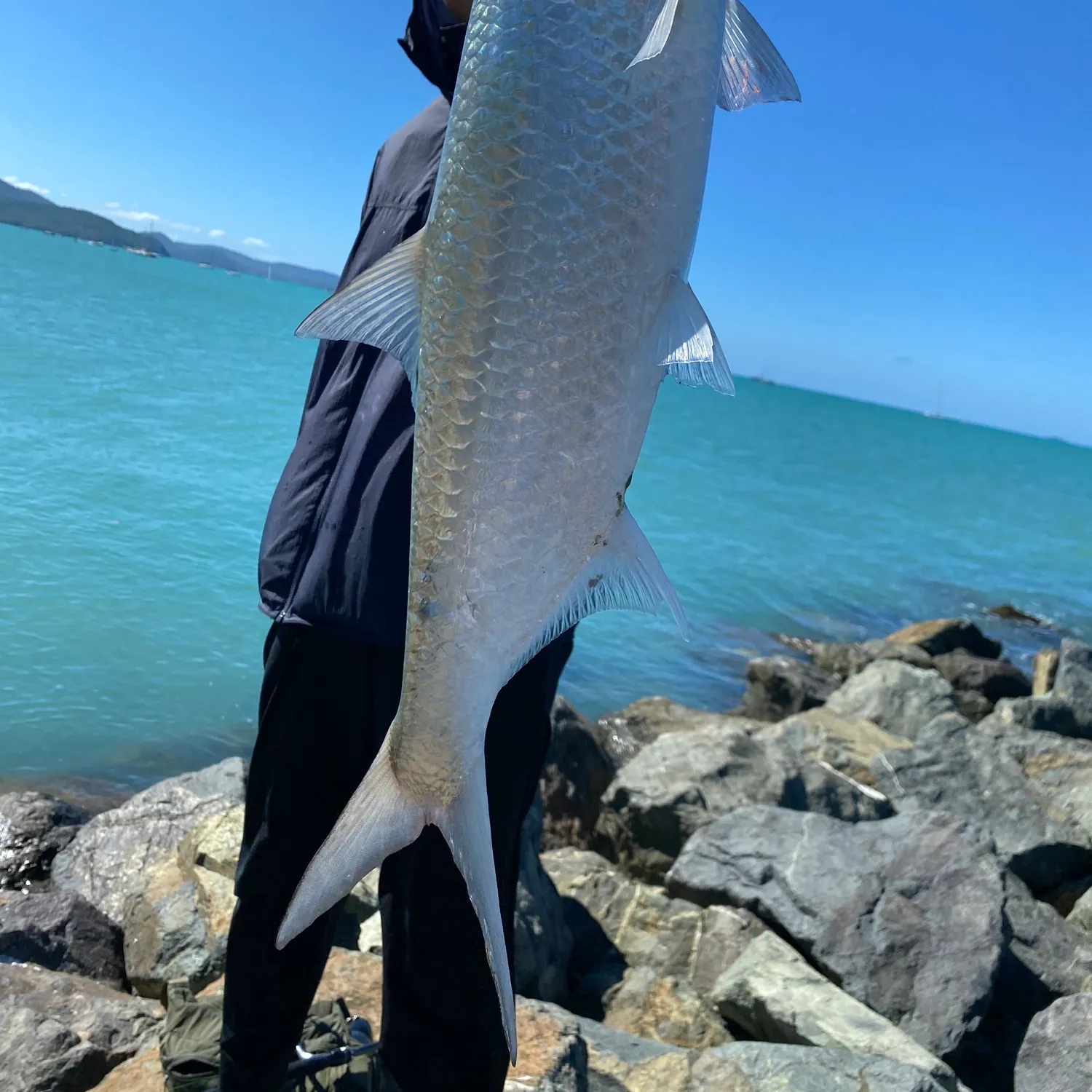 The most popular recent Indo-Pacific tarpon catch on Fishbrain