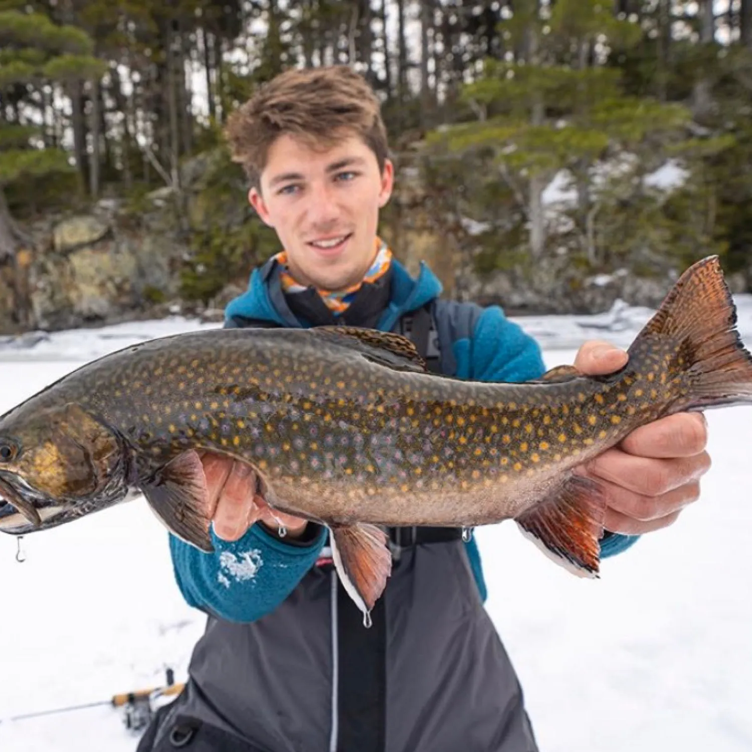 The most popular recent Brook trout catch on Fishbrain