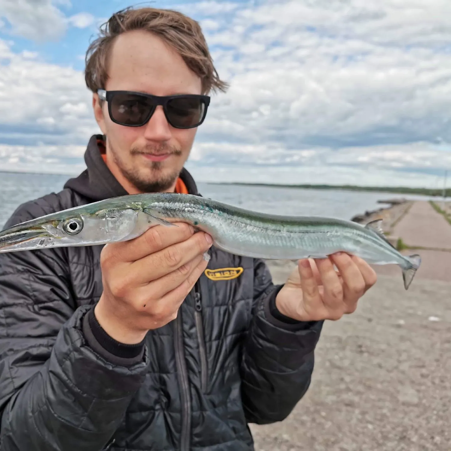 The most popular recent European garfish catch on Fishbrain