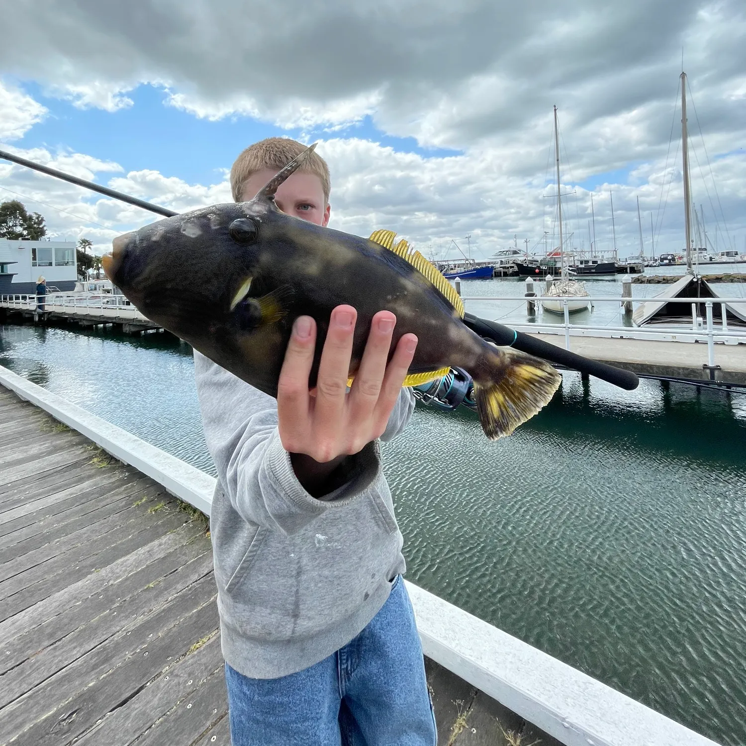 The most popular recent Six-spined leatherjacket catch on Fishbrain