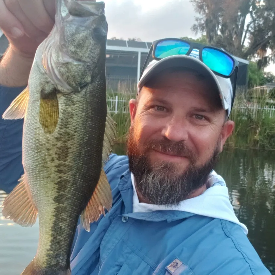 ᐅ Lake Link fishing reports🎣• Winter Haven, FL (United States) fishing