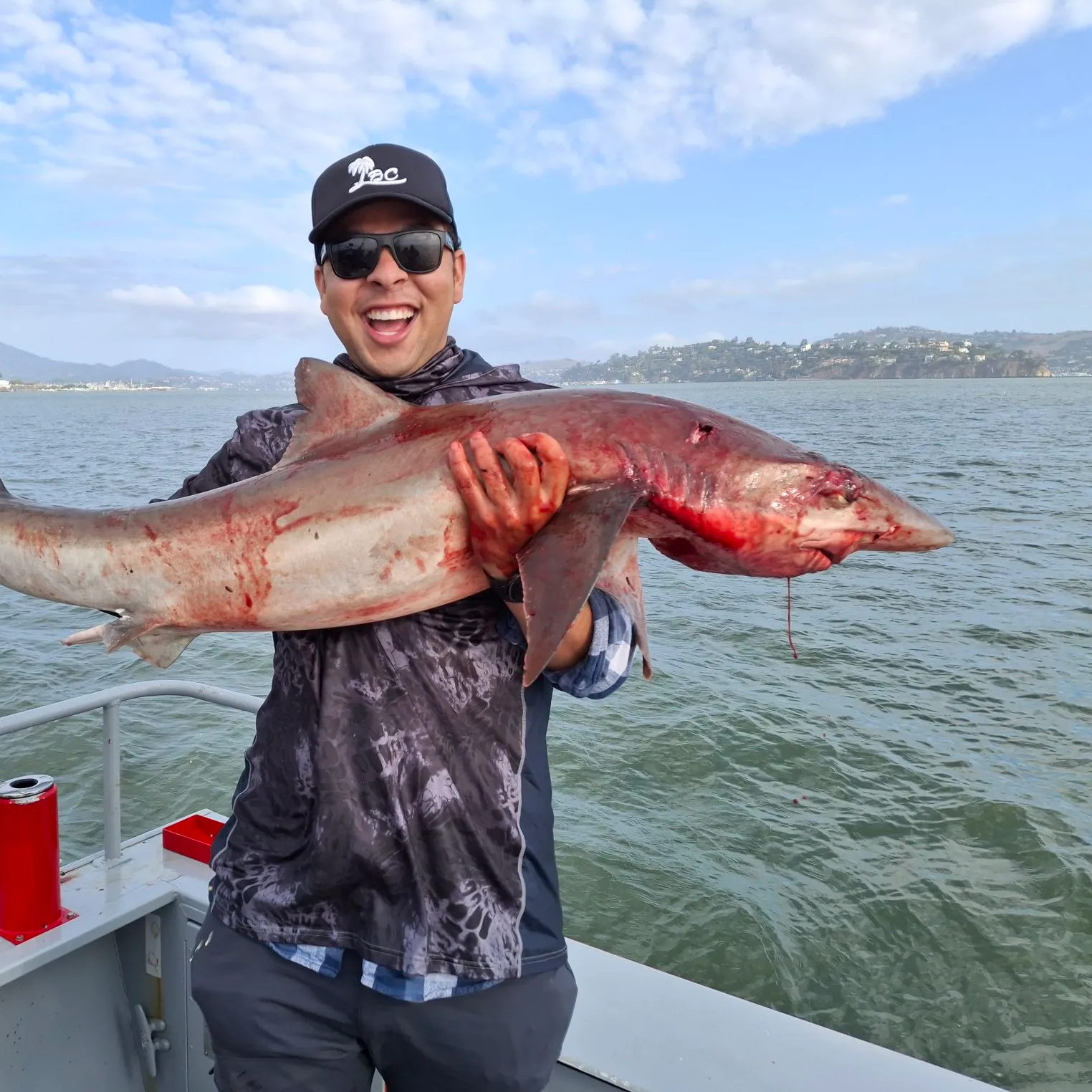 The most popular recent Tope shark catch on Fishbrain