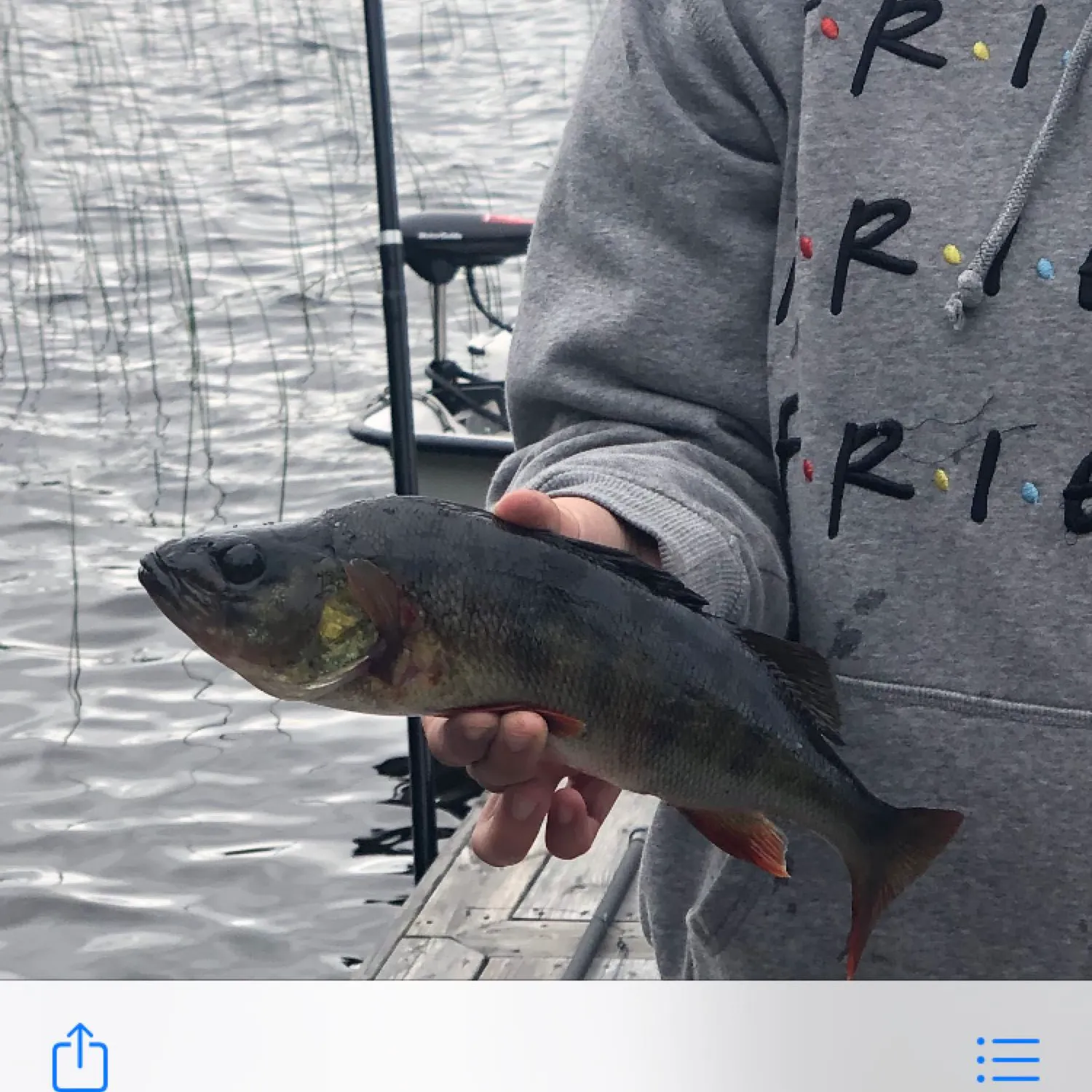 recently logged catches